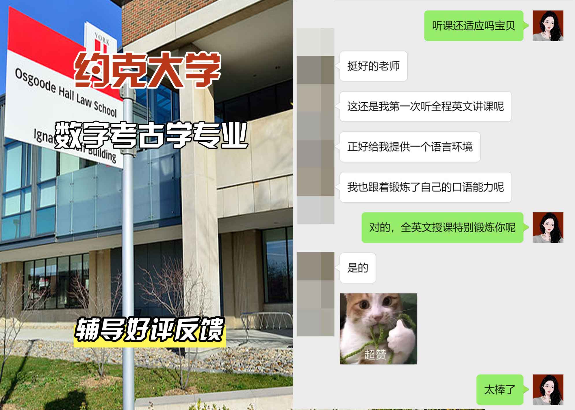 约克大学UOY数字考古学辅导好评反馈