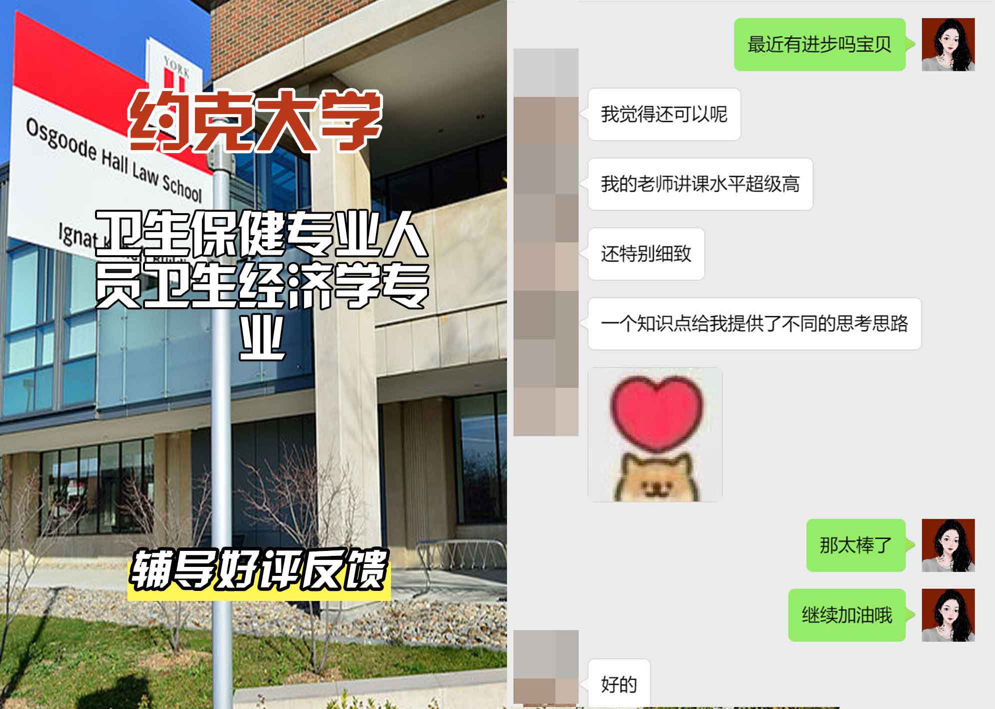 约克大学UOY卫生保健专业人员卫生经济学辅导好评反馈