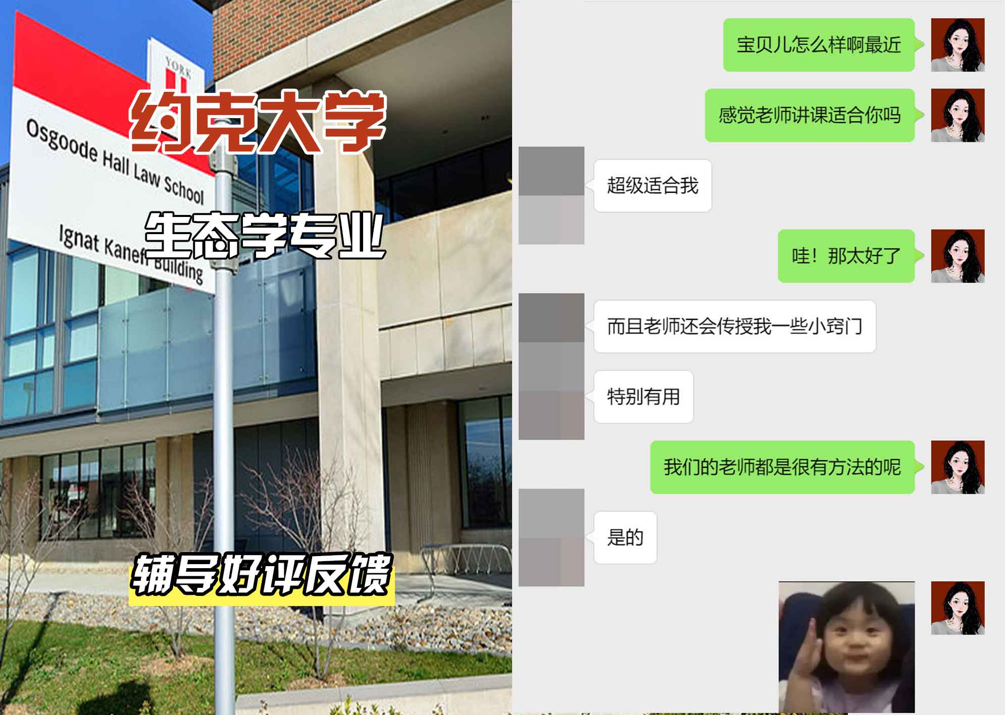 约克大学UOY生态学辅导好评反馈