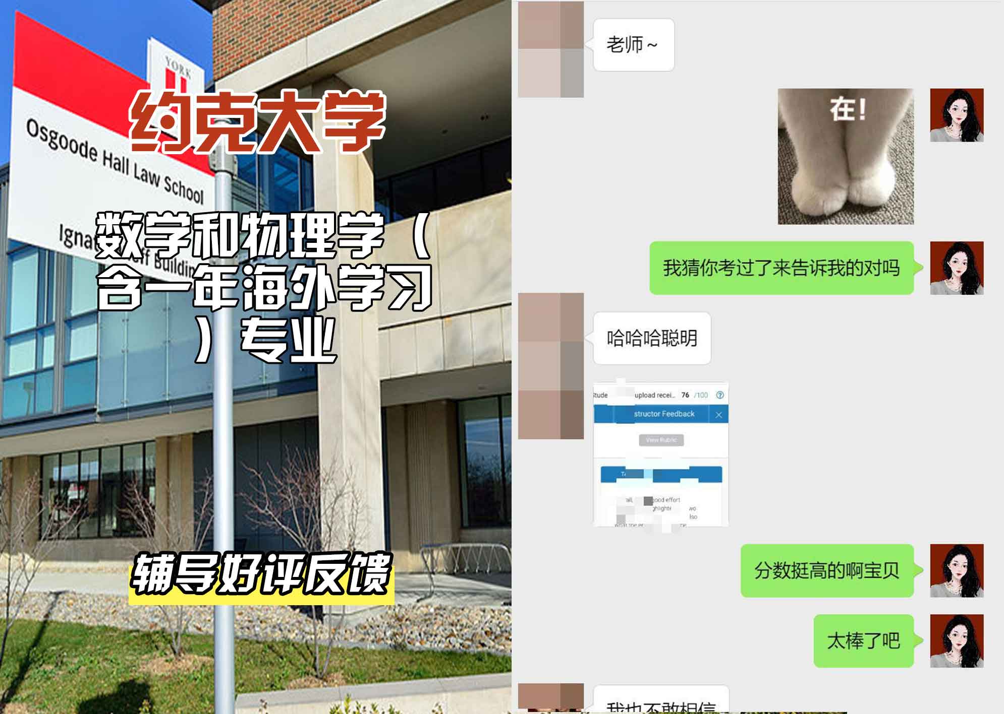 约克大学UOY数学和物理学（含一年海外学习）辅导好评反馈