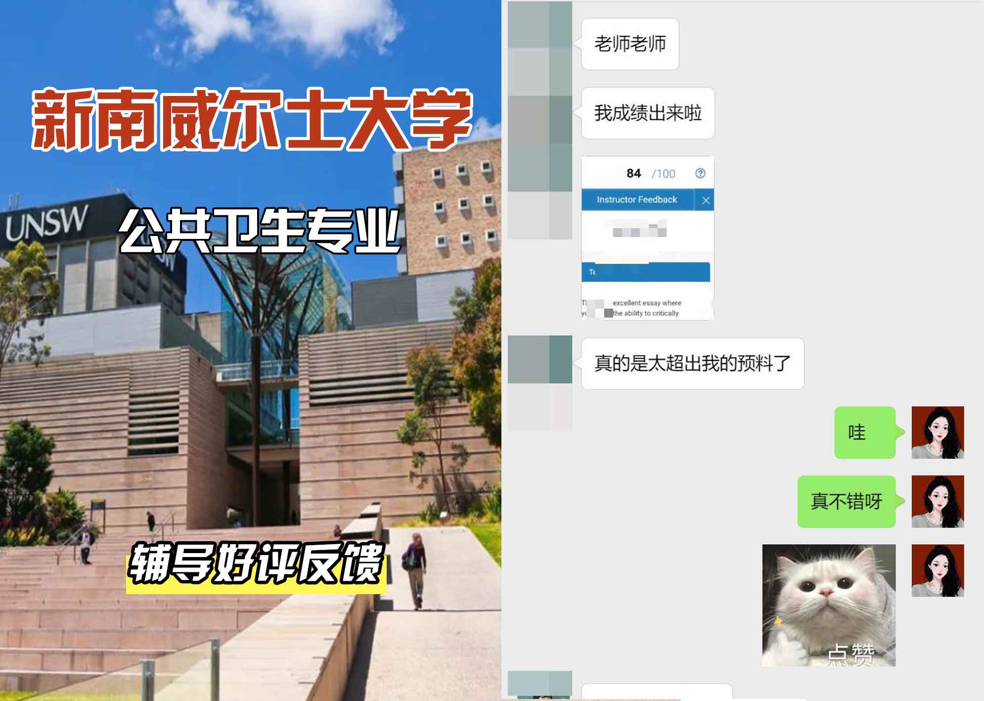 新南威尔士大学UNSW公共卫生辅导好评反馈