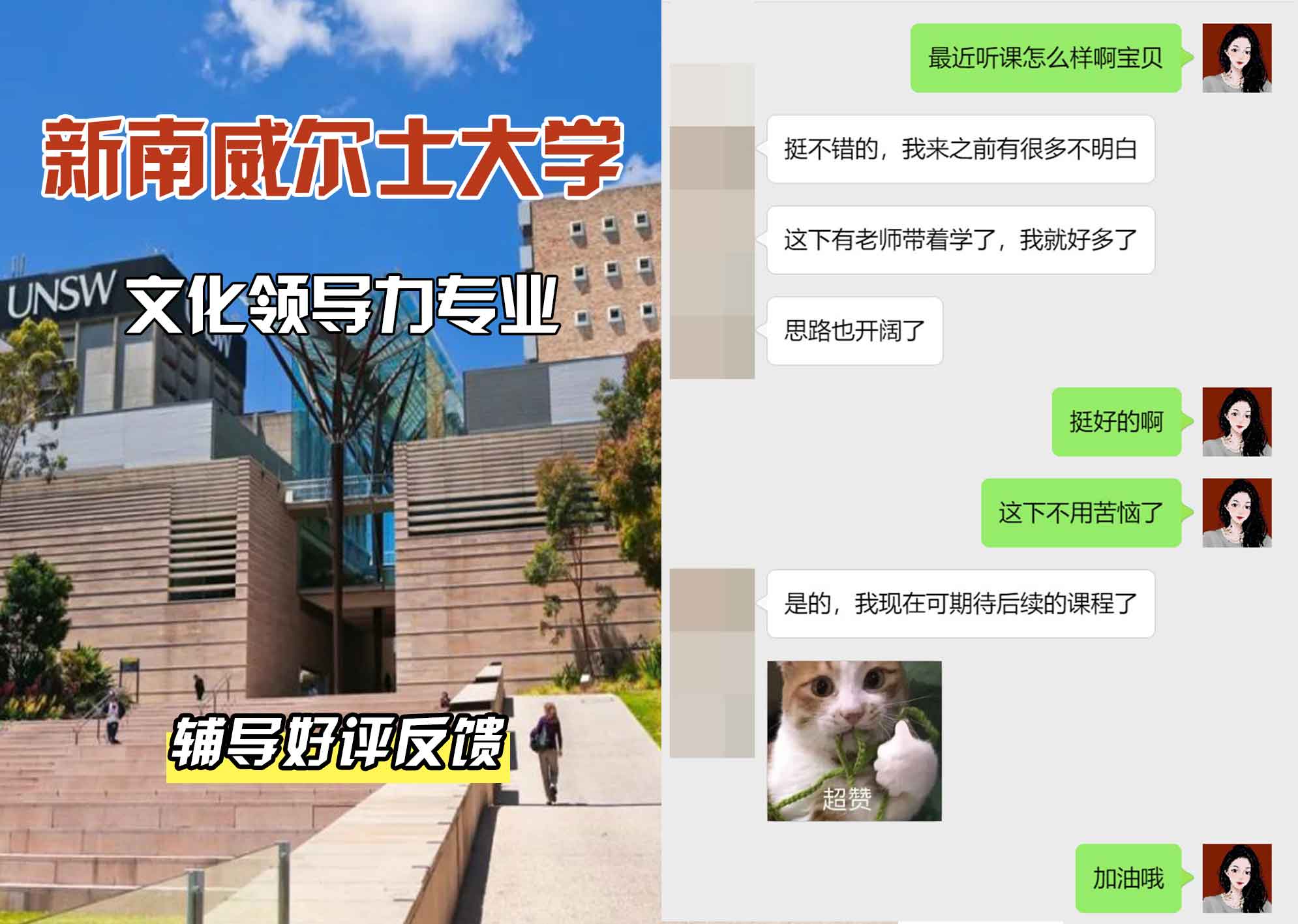 新南威尔士大学UNSW文化领导力辅导好评反馈