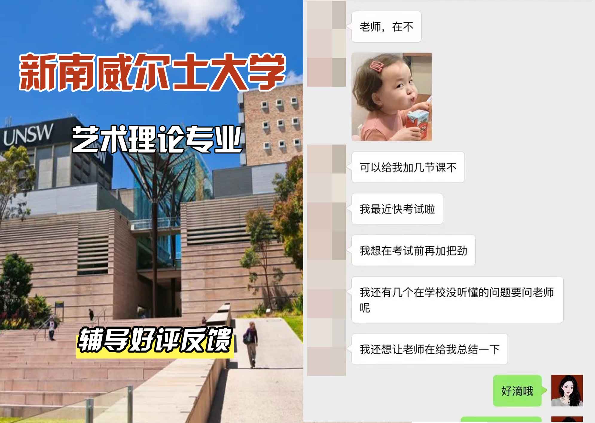 新南威尔士大学UNSW艺术理论辅导好评反馈