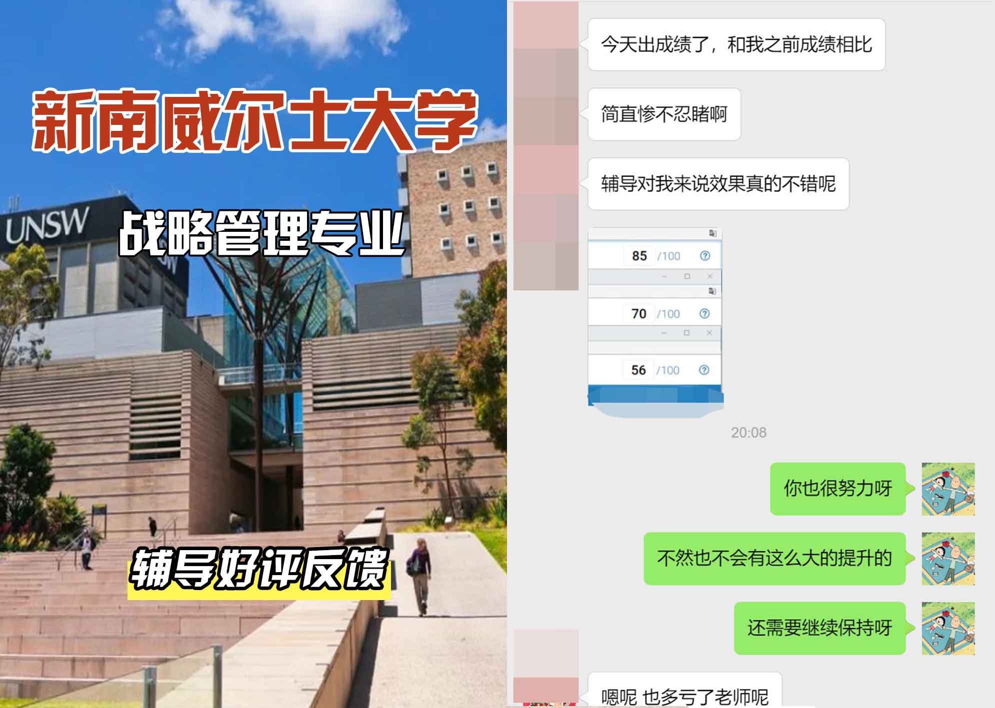 新南威尔士大学UNSW战略管理辅导好评反馈