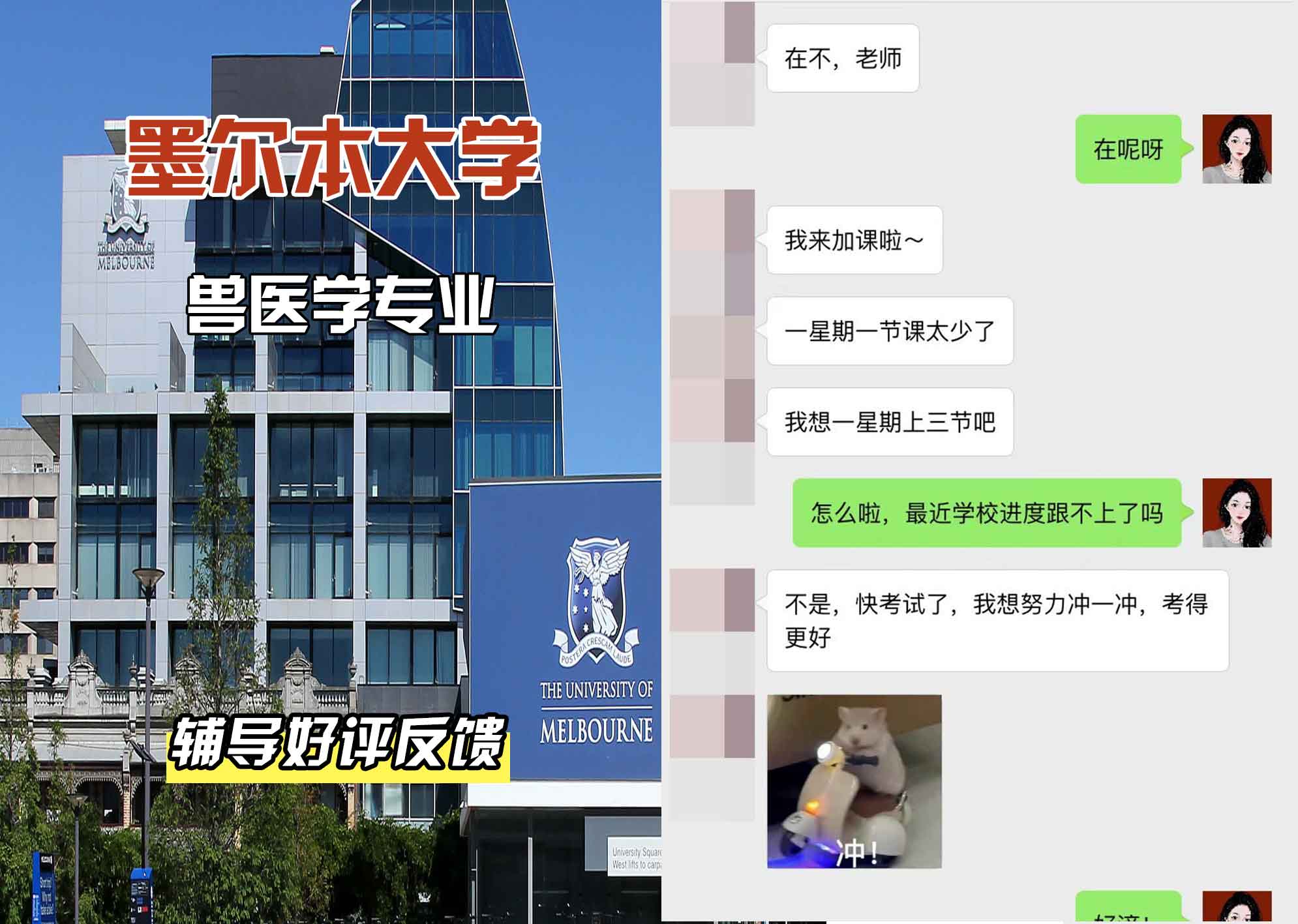 墨尔本大学墨大兽医学辅导好评反馈