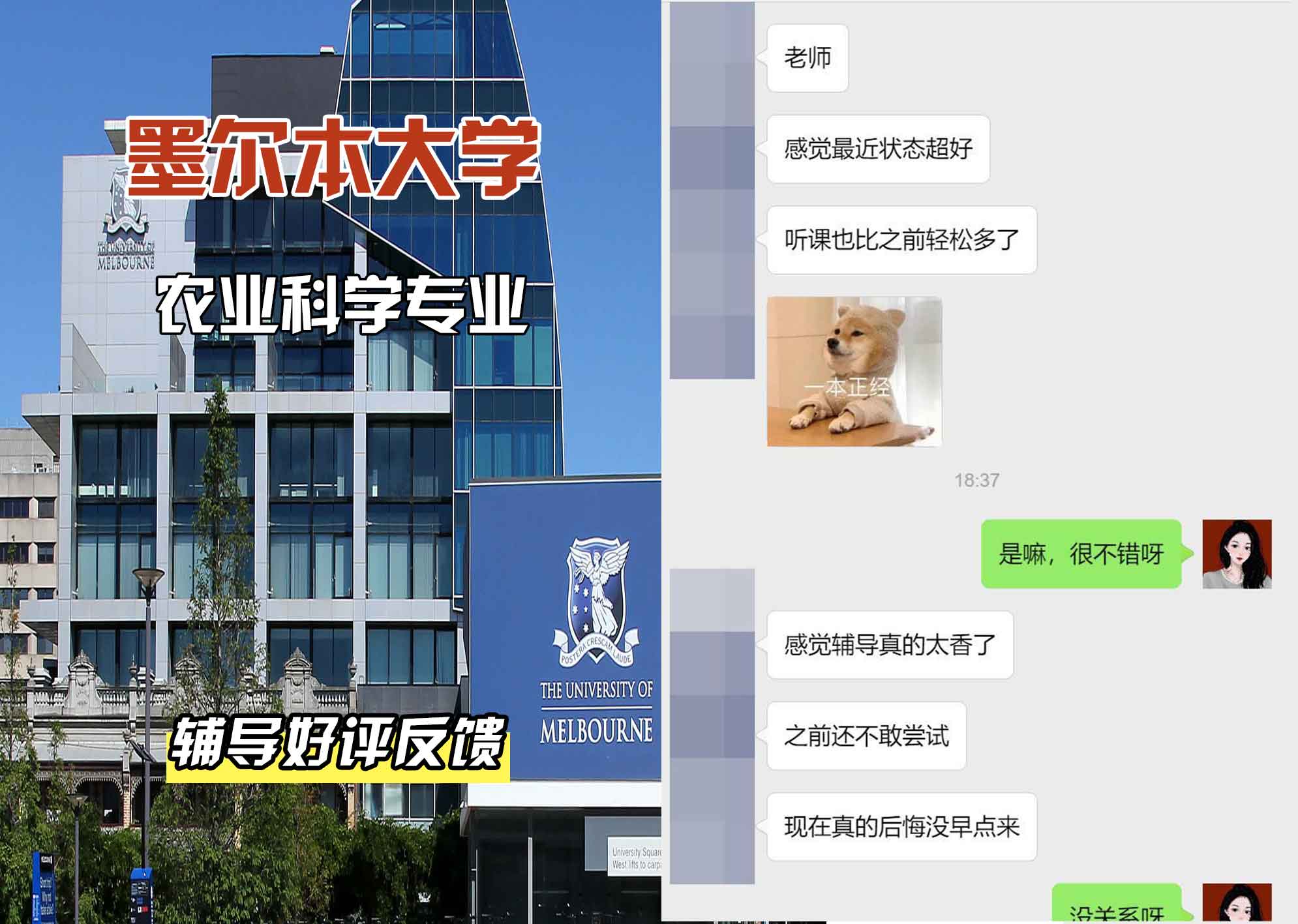 墨尔本大学墨大农业科学辅导好评反馈