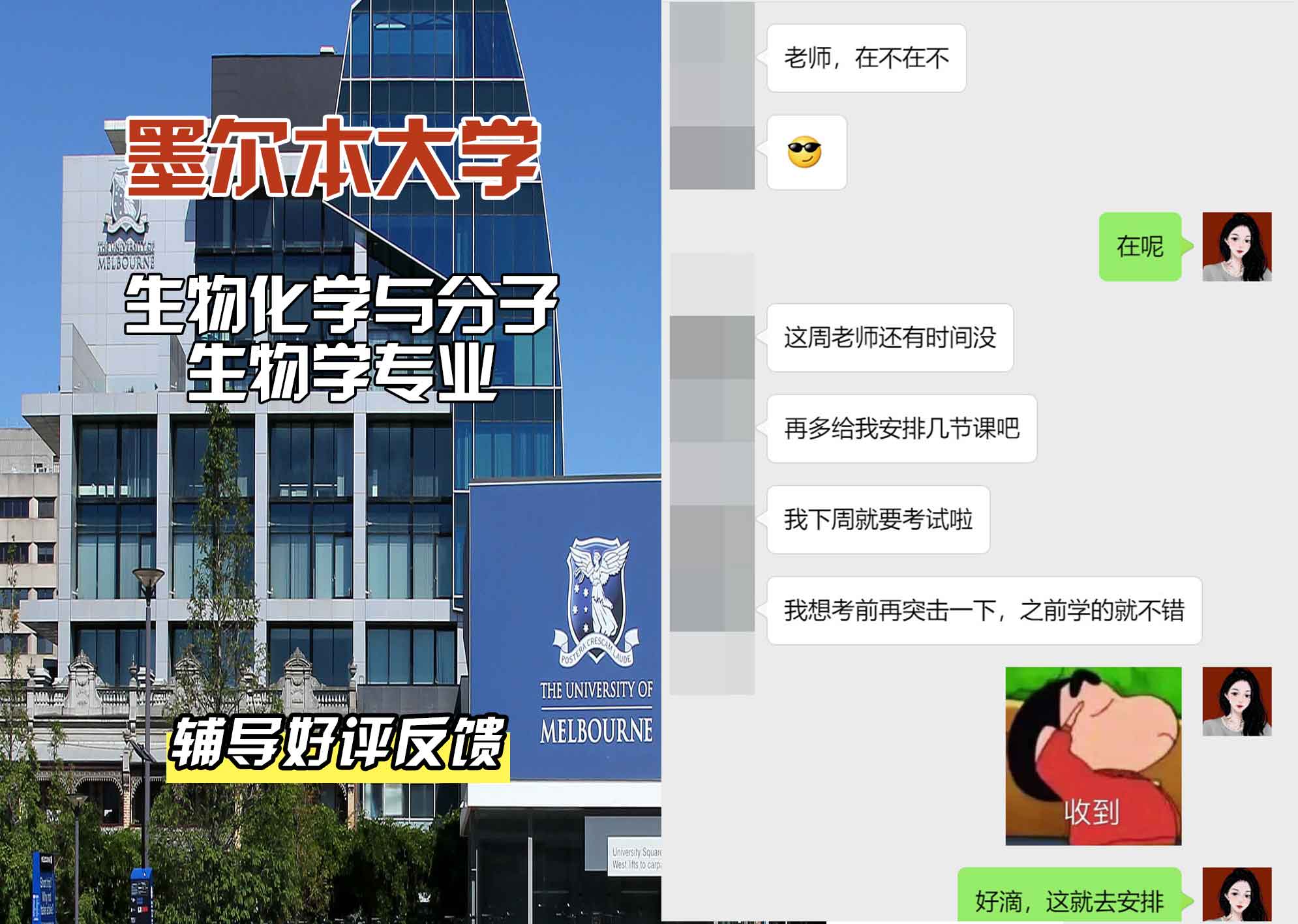 墨尔本大学墨大生物化学与分子生物学辅导好评反馈
