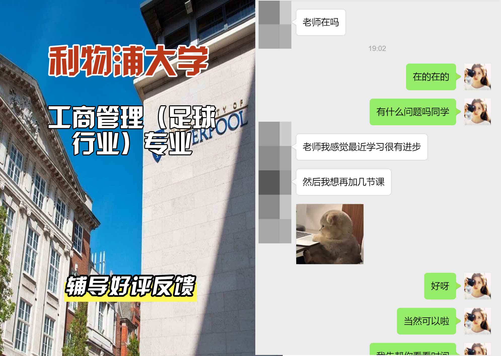 利物浦大学利大工商管理（足球行业）辅导好评反馈
