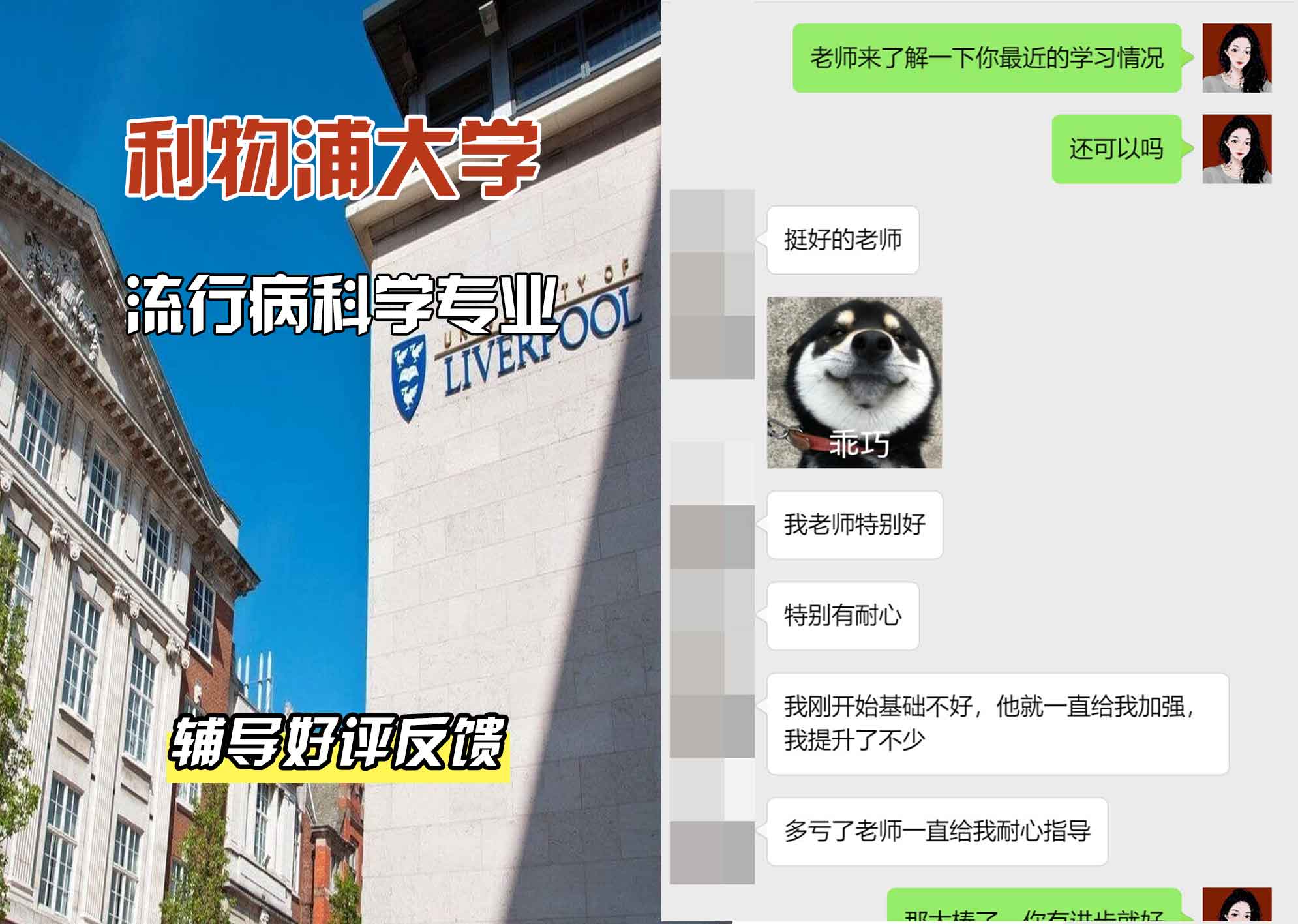 利物浦大学利大流行病科学辅导好评反馈