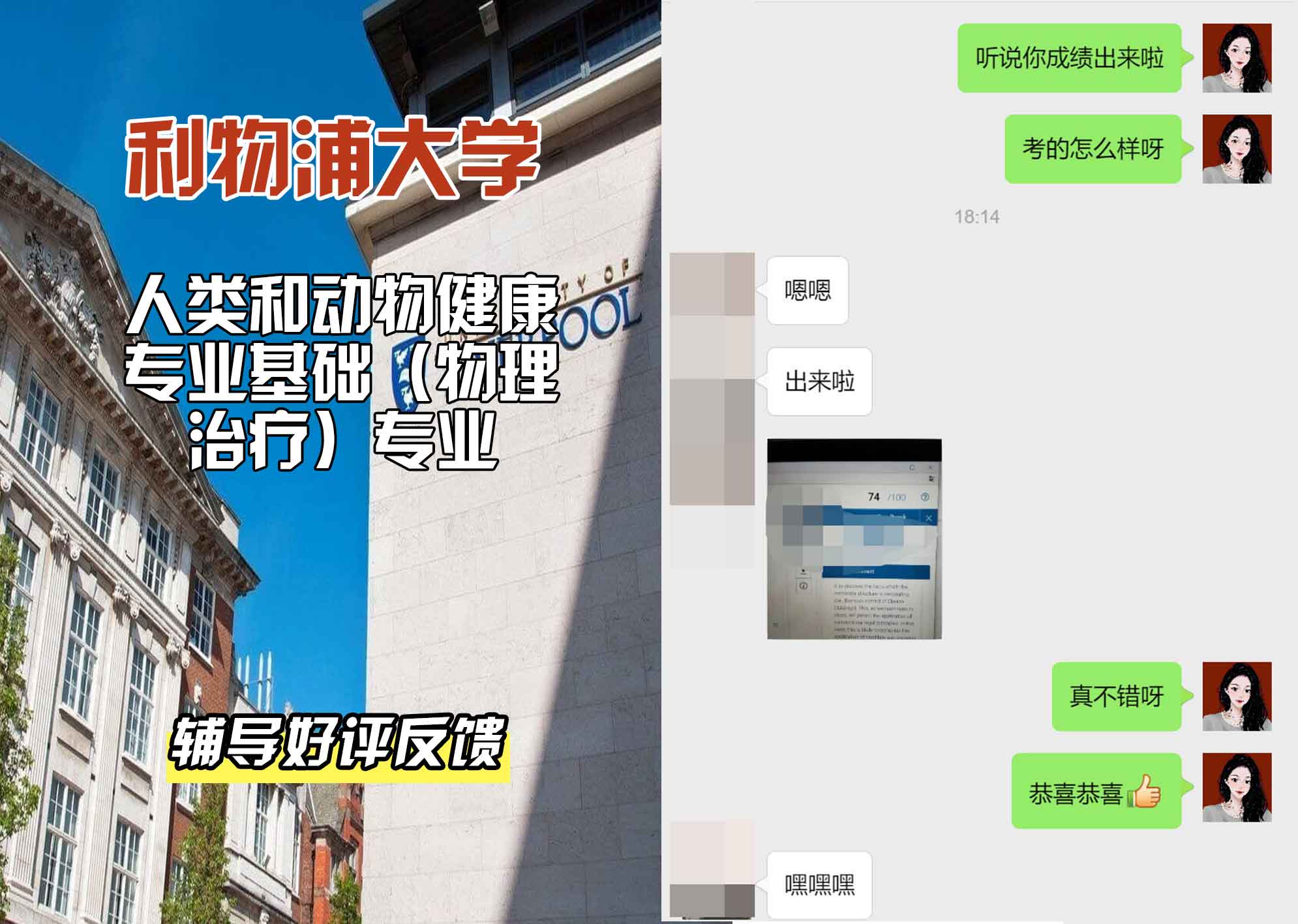 利物浦大学利大人类和动物健康专业基础（物理治疗）辅导好评反馈