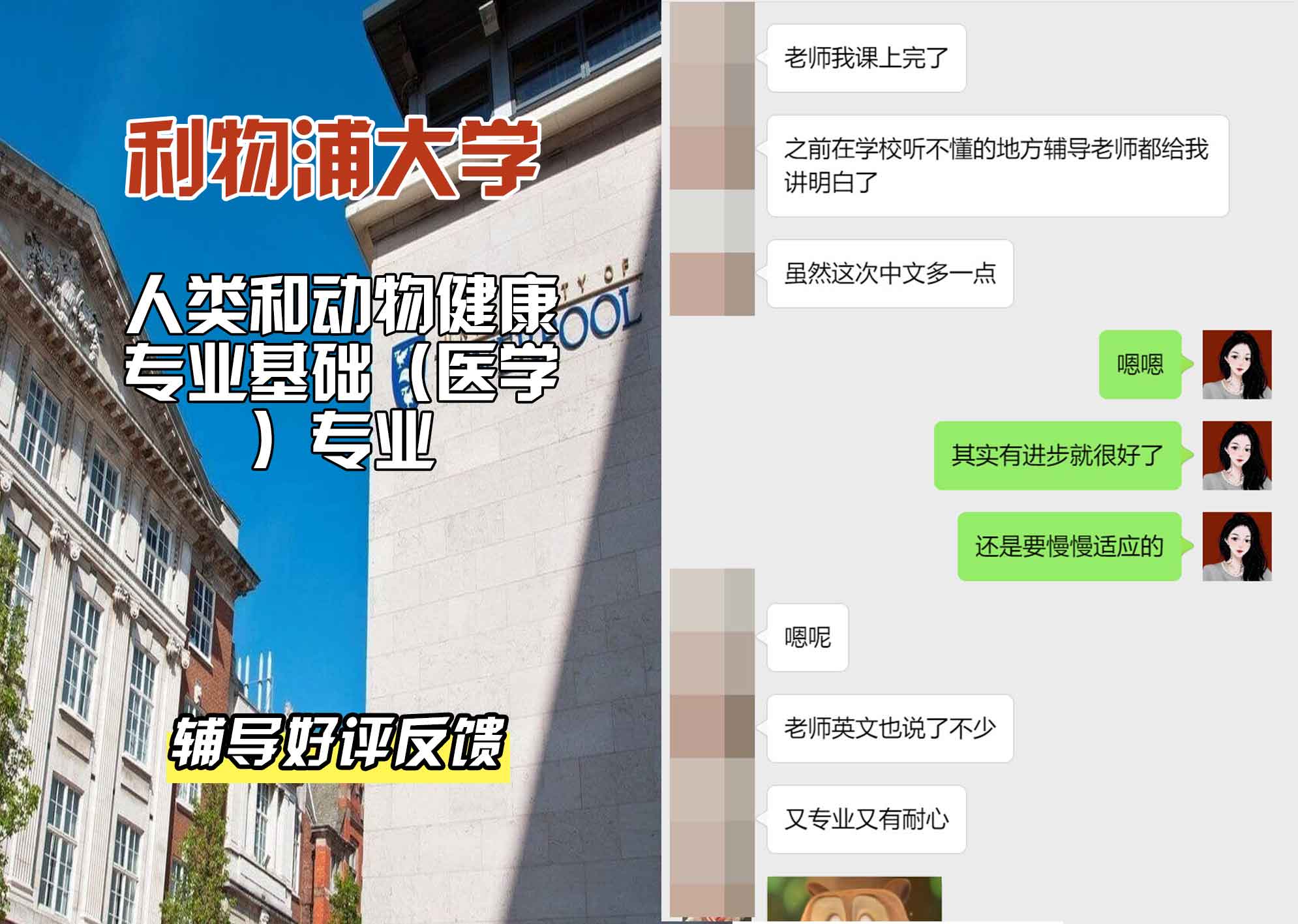 利物浦大学利大人类和动物健康专业基础（医学）辅导好评反馈