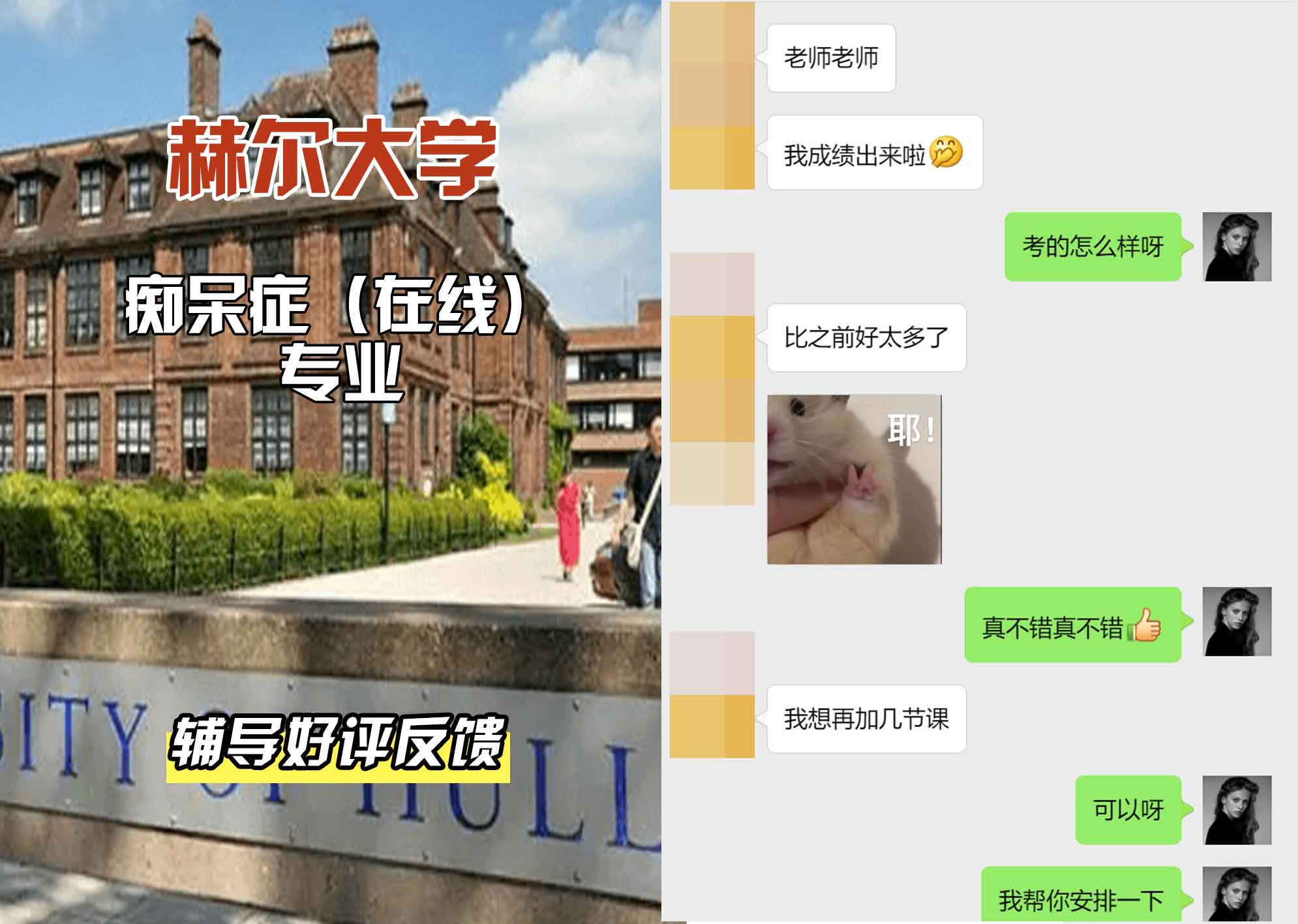HULL赫尔大学痴呆症(在线)辅导好评反馈