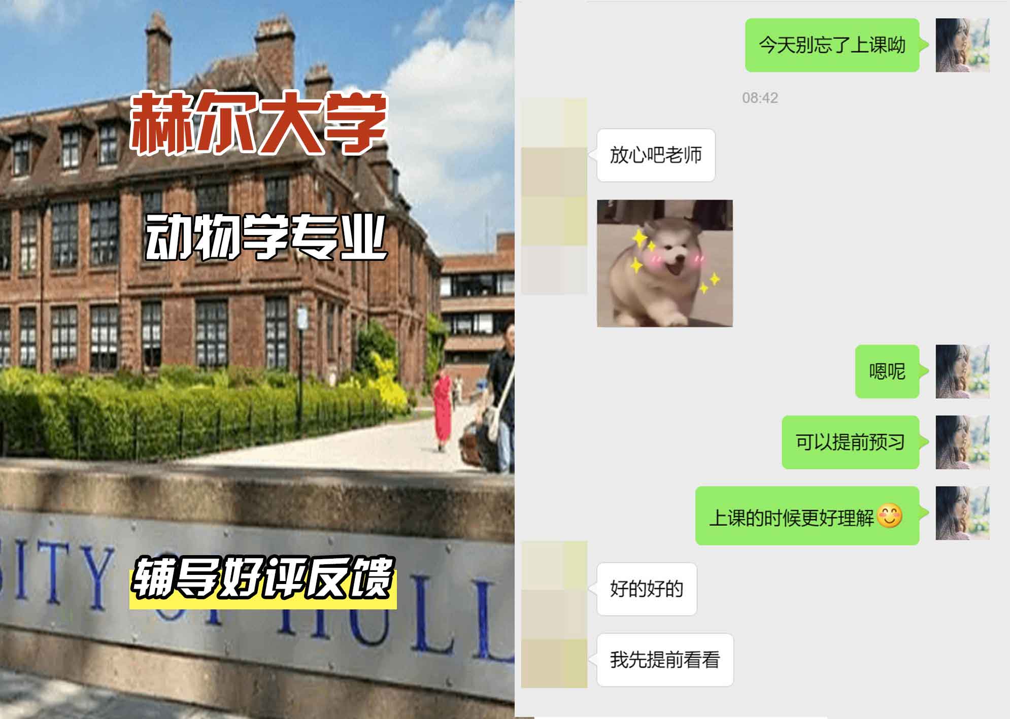 HULL赫尔大学动物学辅导好评反馈