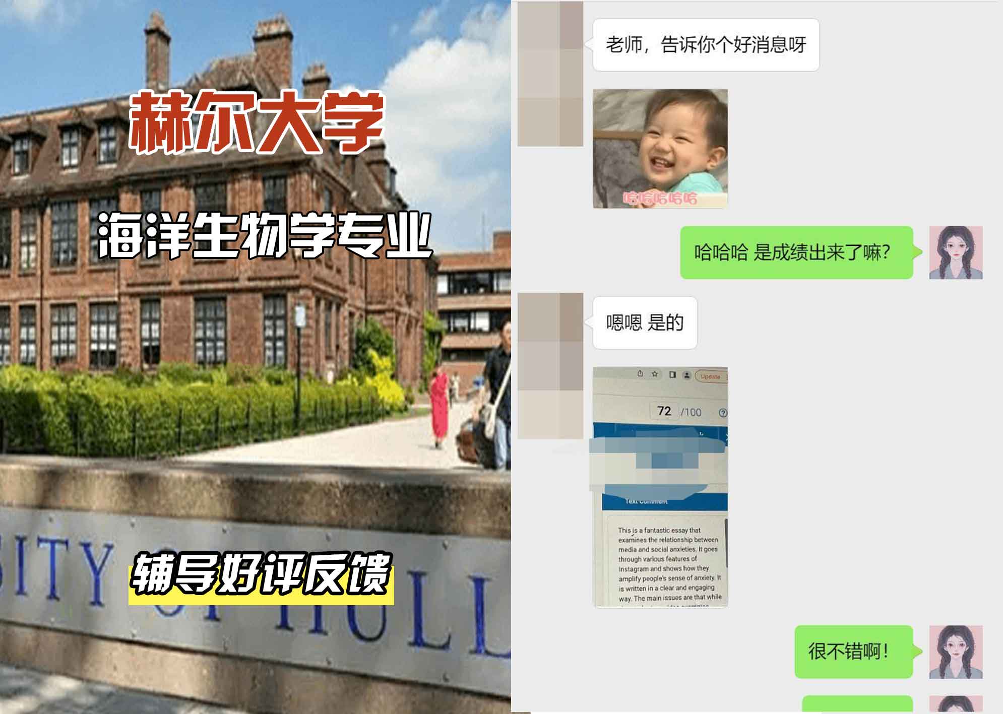 HULL赫尔大学海洋生物学辅导好评反馈