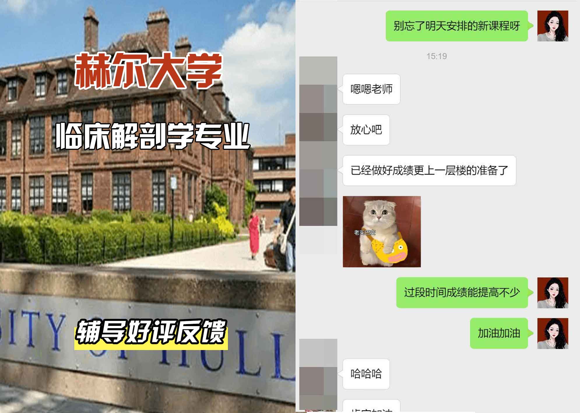 HULL赫尔大学临床解剖学辅导好评反馈