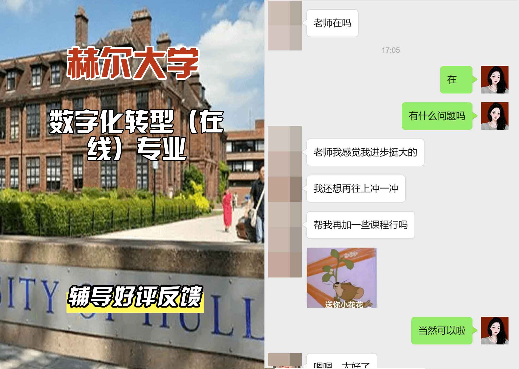 HULL赫尔大学数字化转型(在线)辅导好评反馈