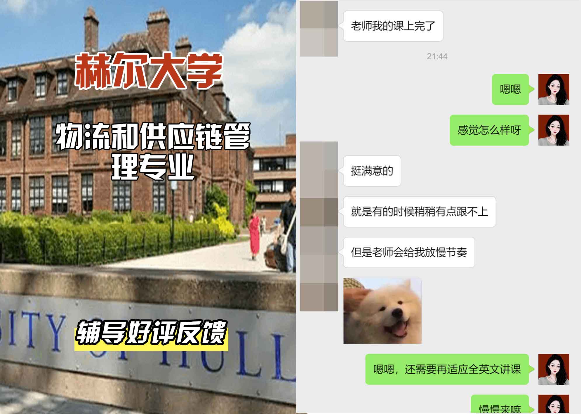 HULL赫尔大学物流和供应链管理辅导好评反馈