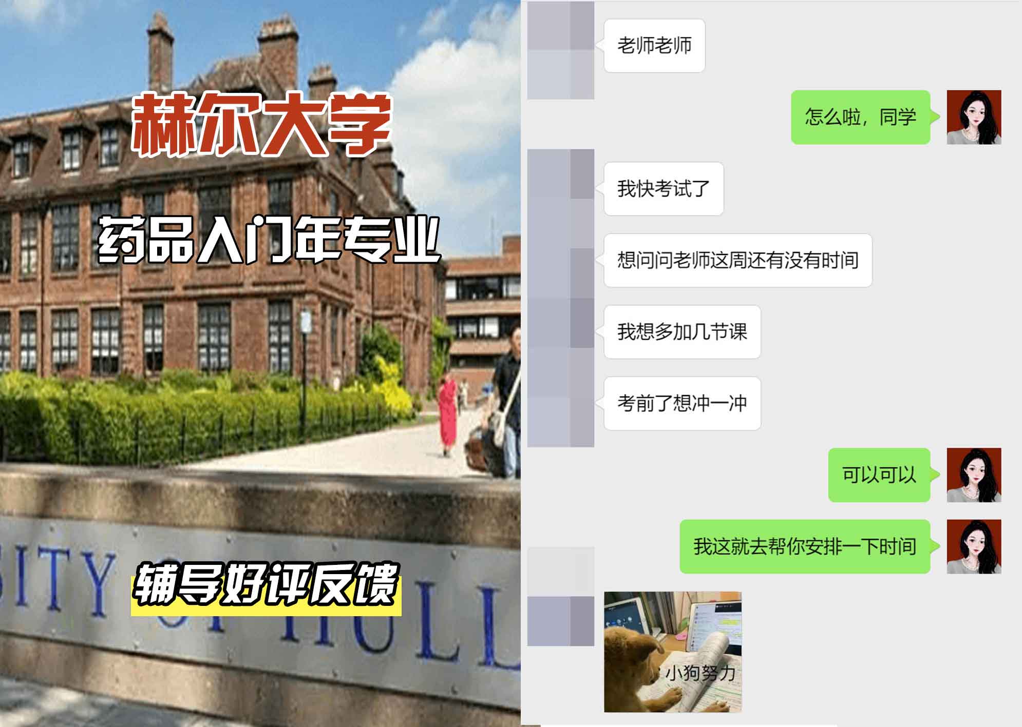 HULL赫尔大学药品入门年辅导好评反馈