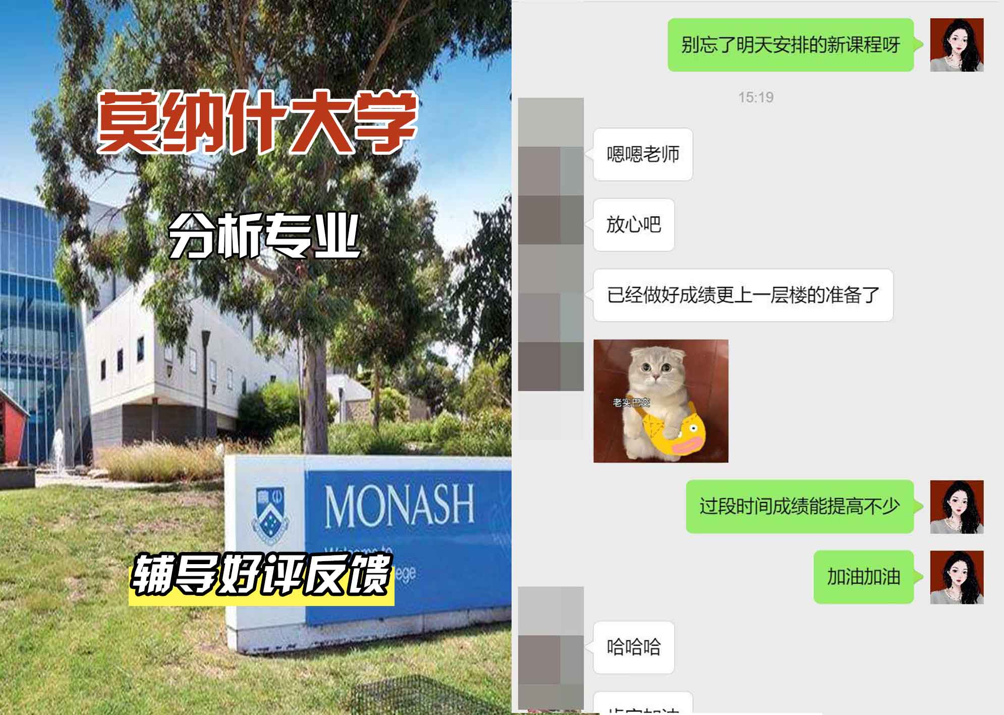 莫纳什大学Monash分析辅导好评反馈