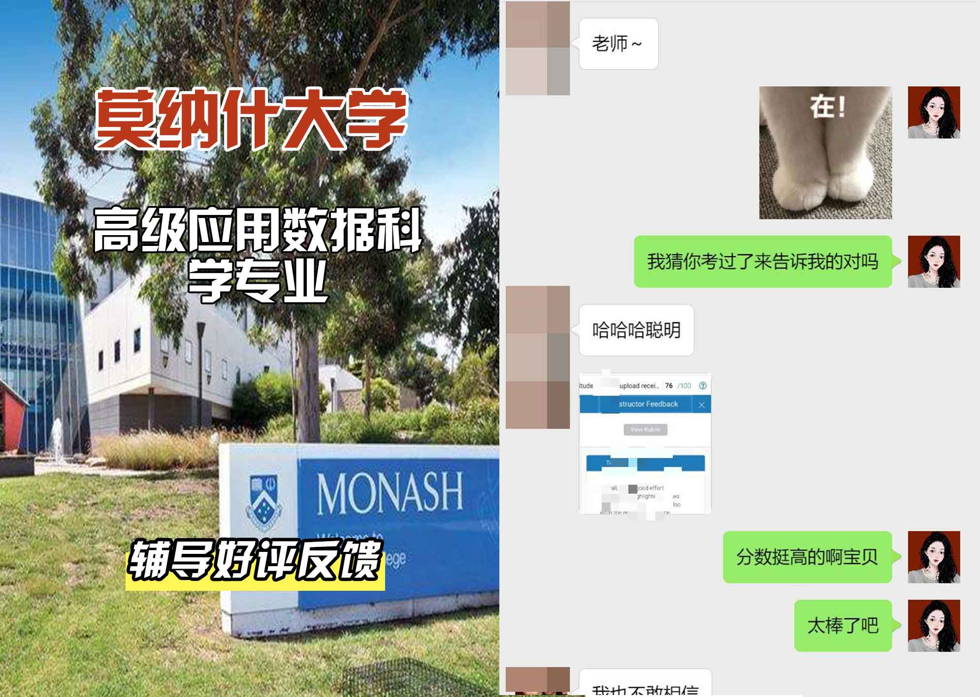 莫纳什大学Monash高级应用数据科学辅导好评反馈