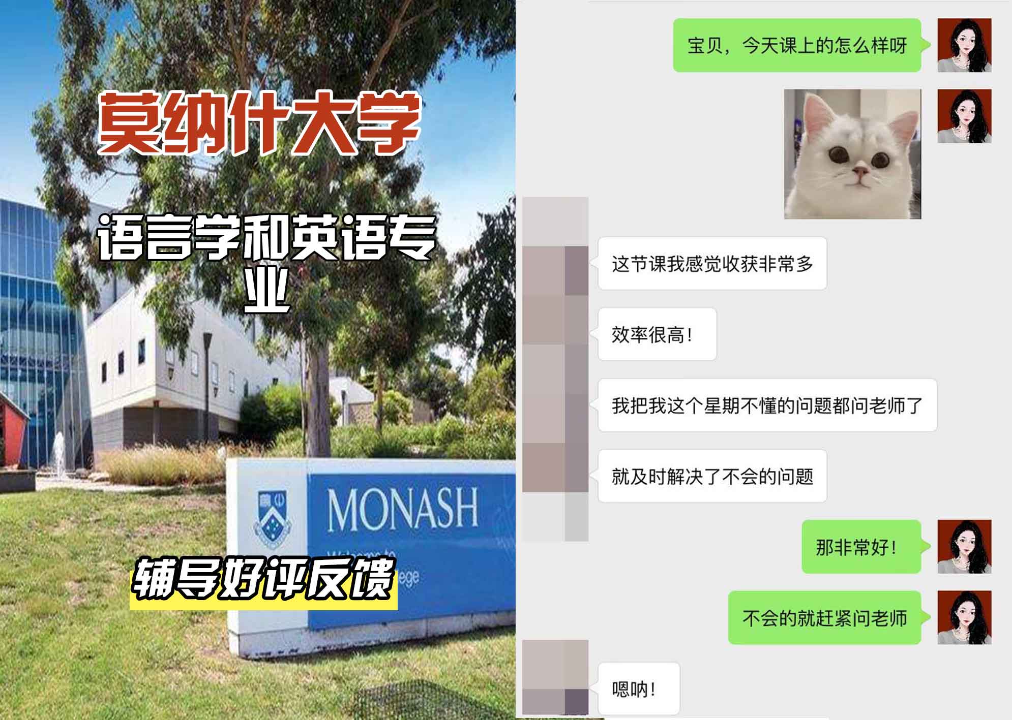 莫纳什大学Monash语言学和英语辅导好评反馈