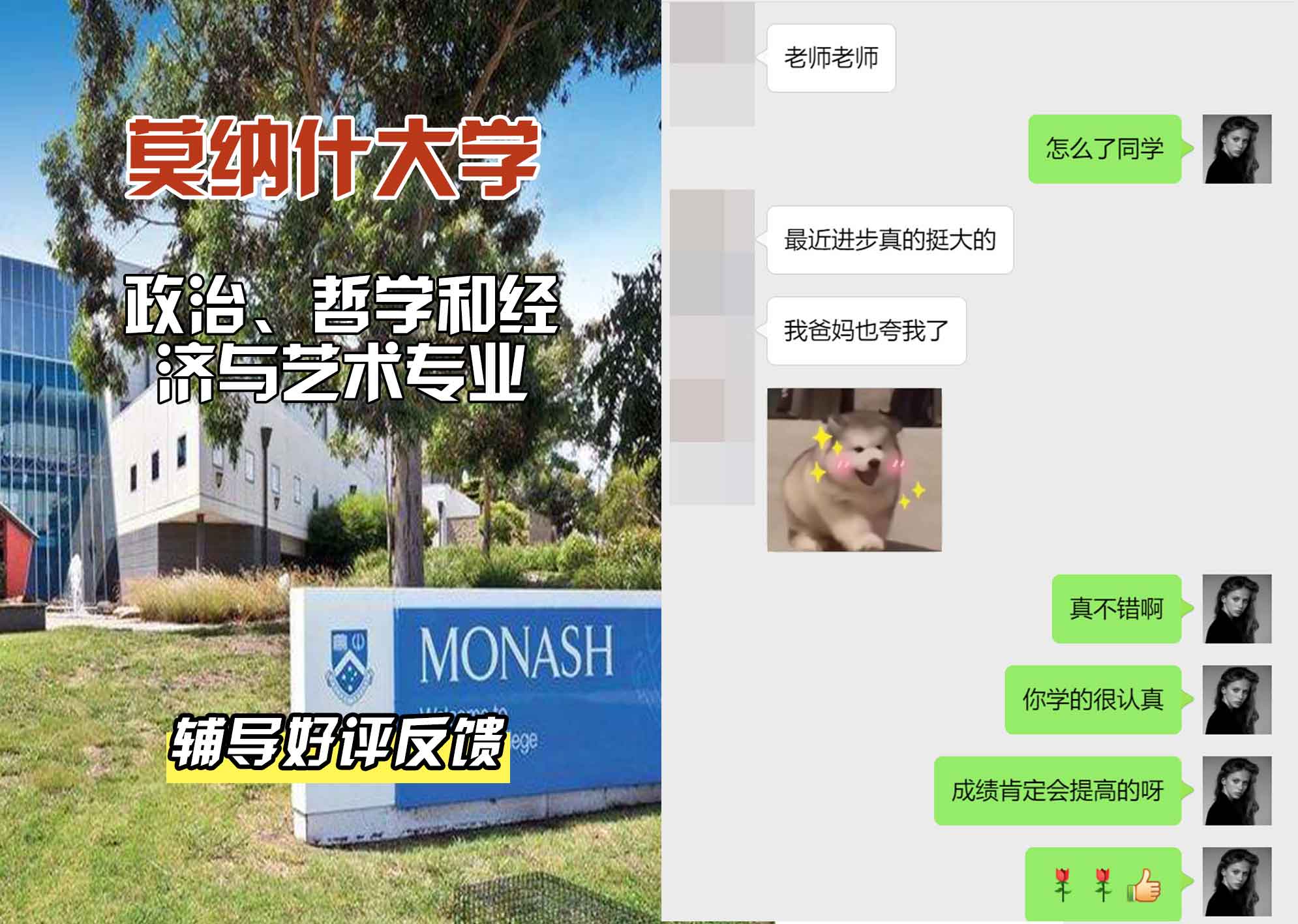 莫纳什大学Monash政治、哲学和经济与艺术辅导好评反馈