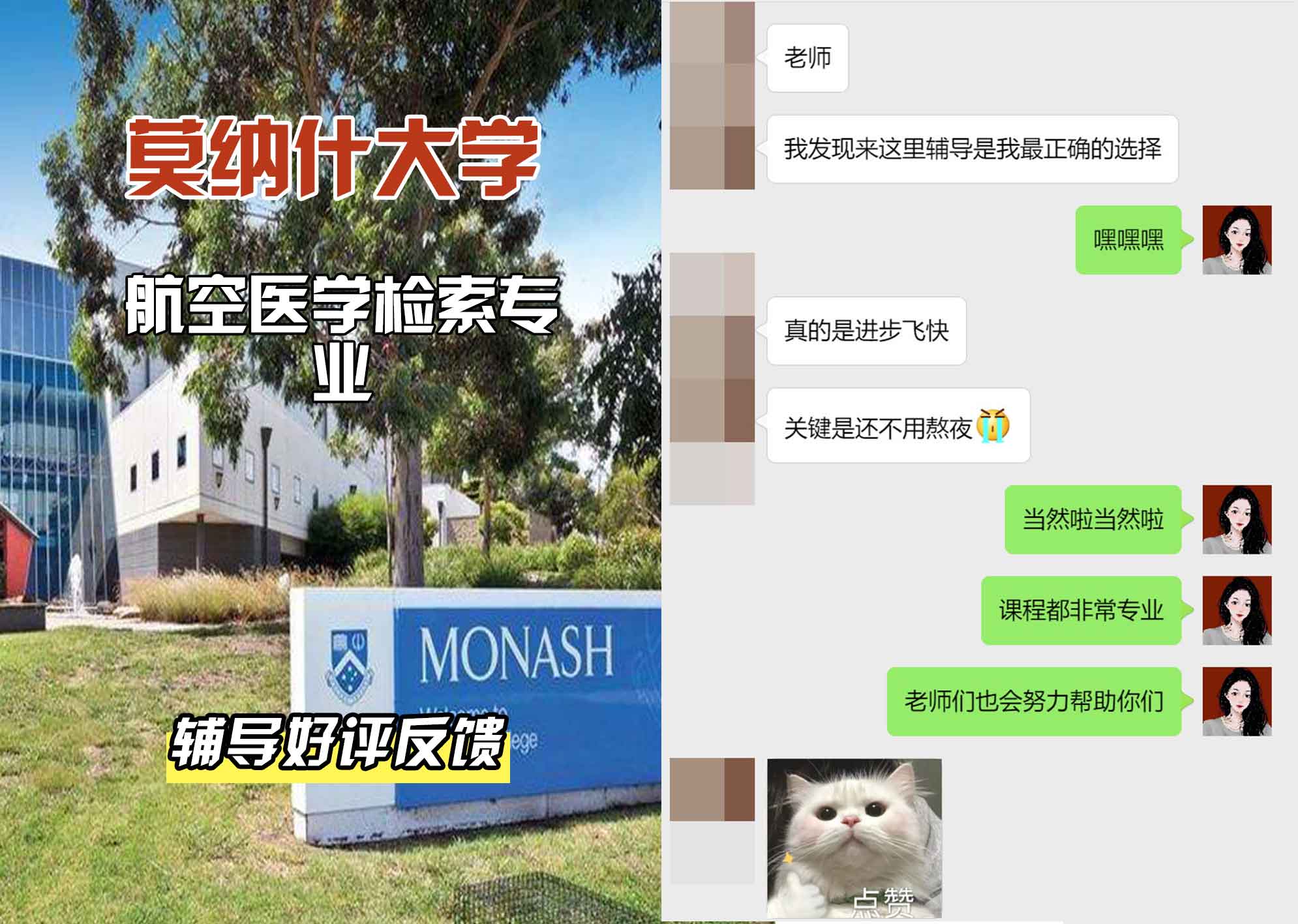 莫纳什大学Monash航空医学检索辅导好评反馈