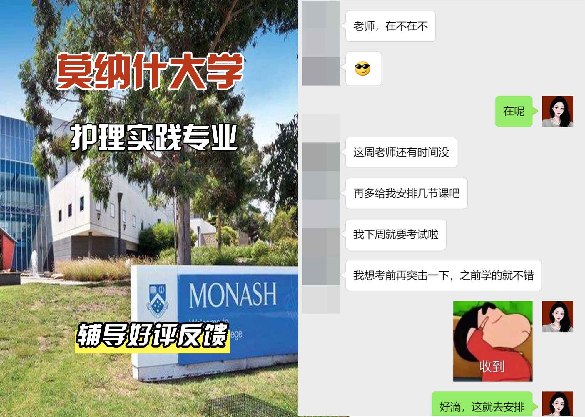 莫纳什大学Monash护理实践辅导好评反馈