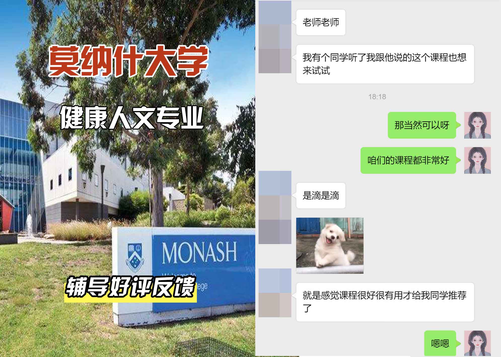 莫纳什大学Monash健康人文辅导好评反馈
