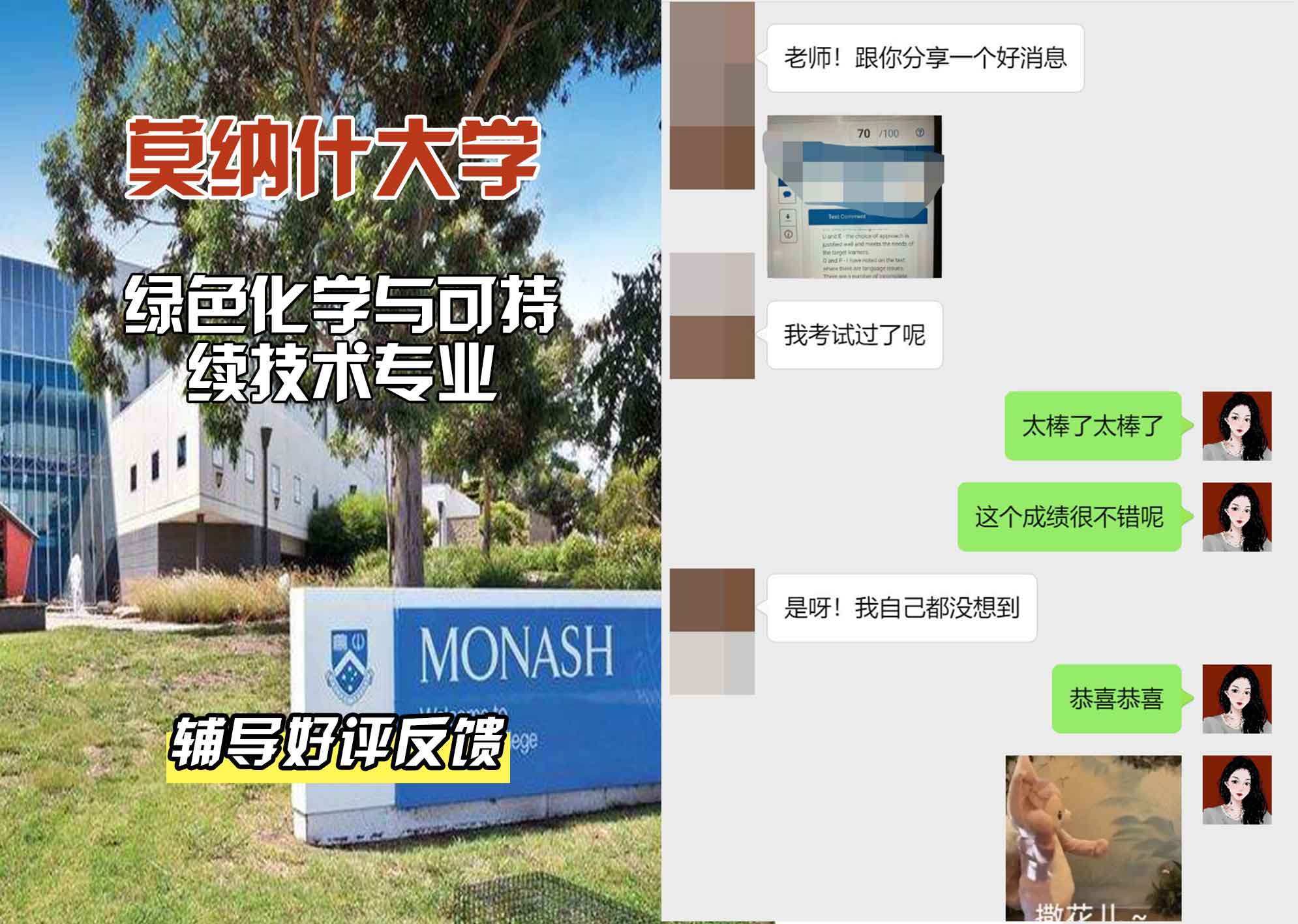 莫纳什大学Monash绿色化学与可持续技术辅导好评反馈