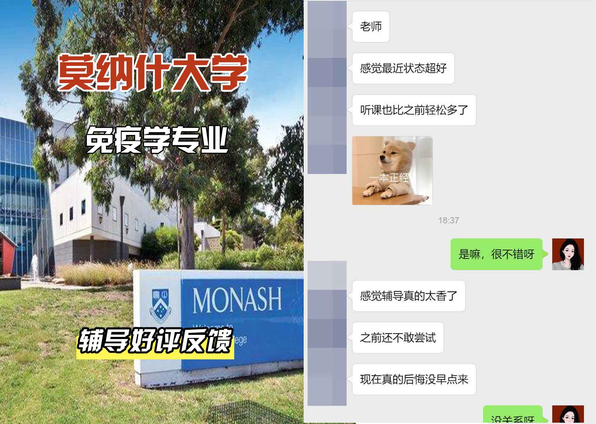 莫纳什大学Monash免疫学辅导好评反馈