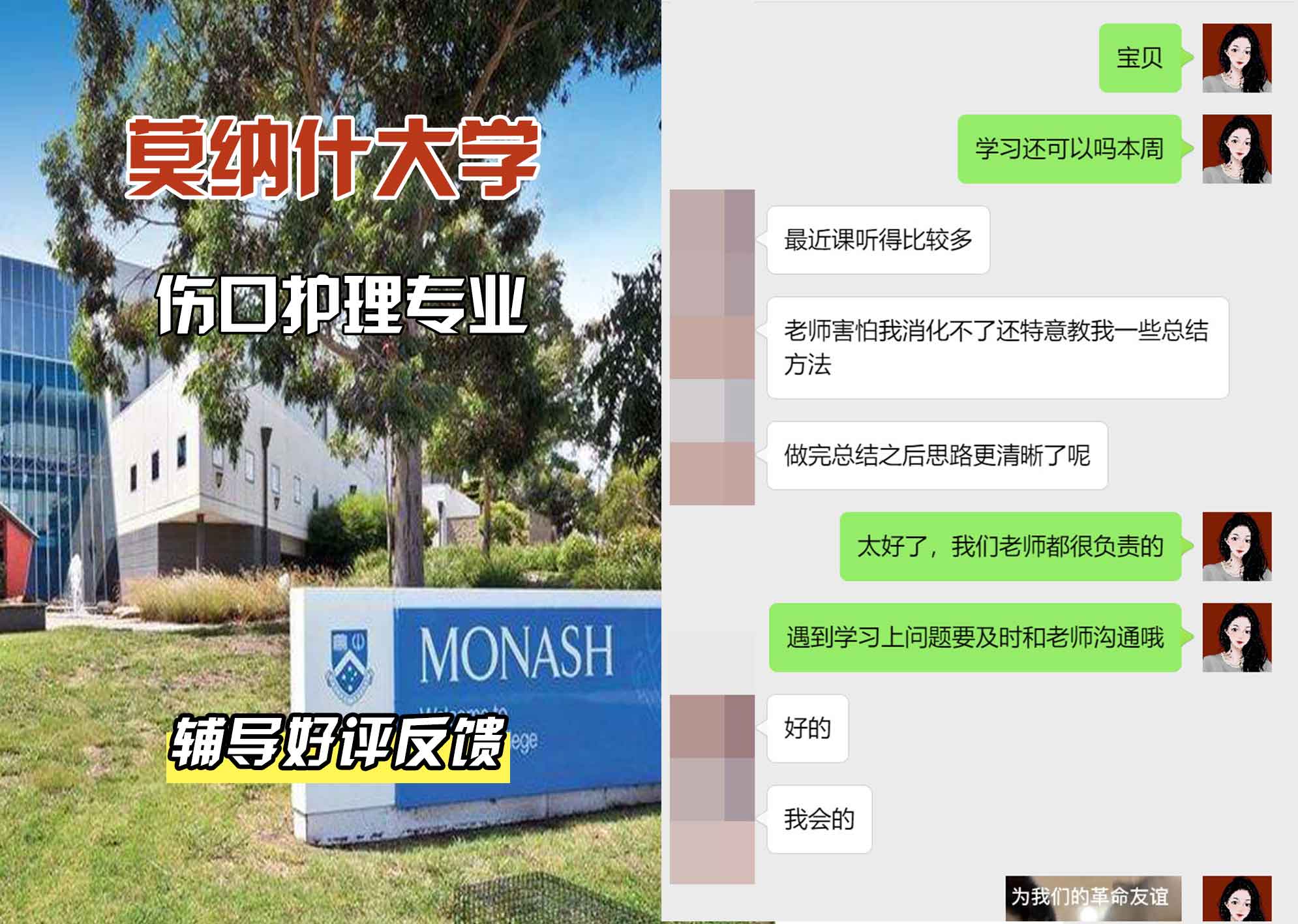 莫纳什大学Monash伤口护理辅导好评反馈