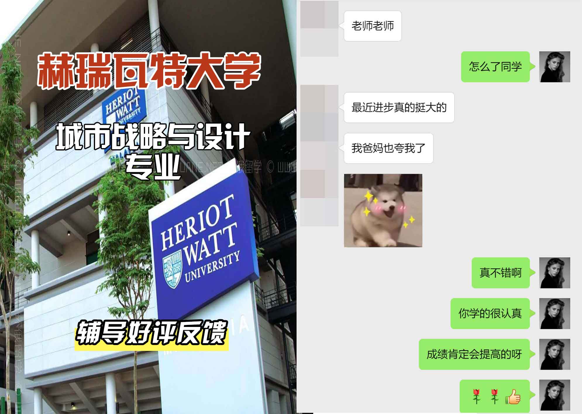 赫瑞瓦特大学赫瓦城市战略与设计辅导好评反馈