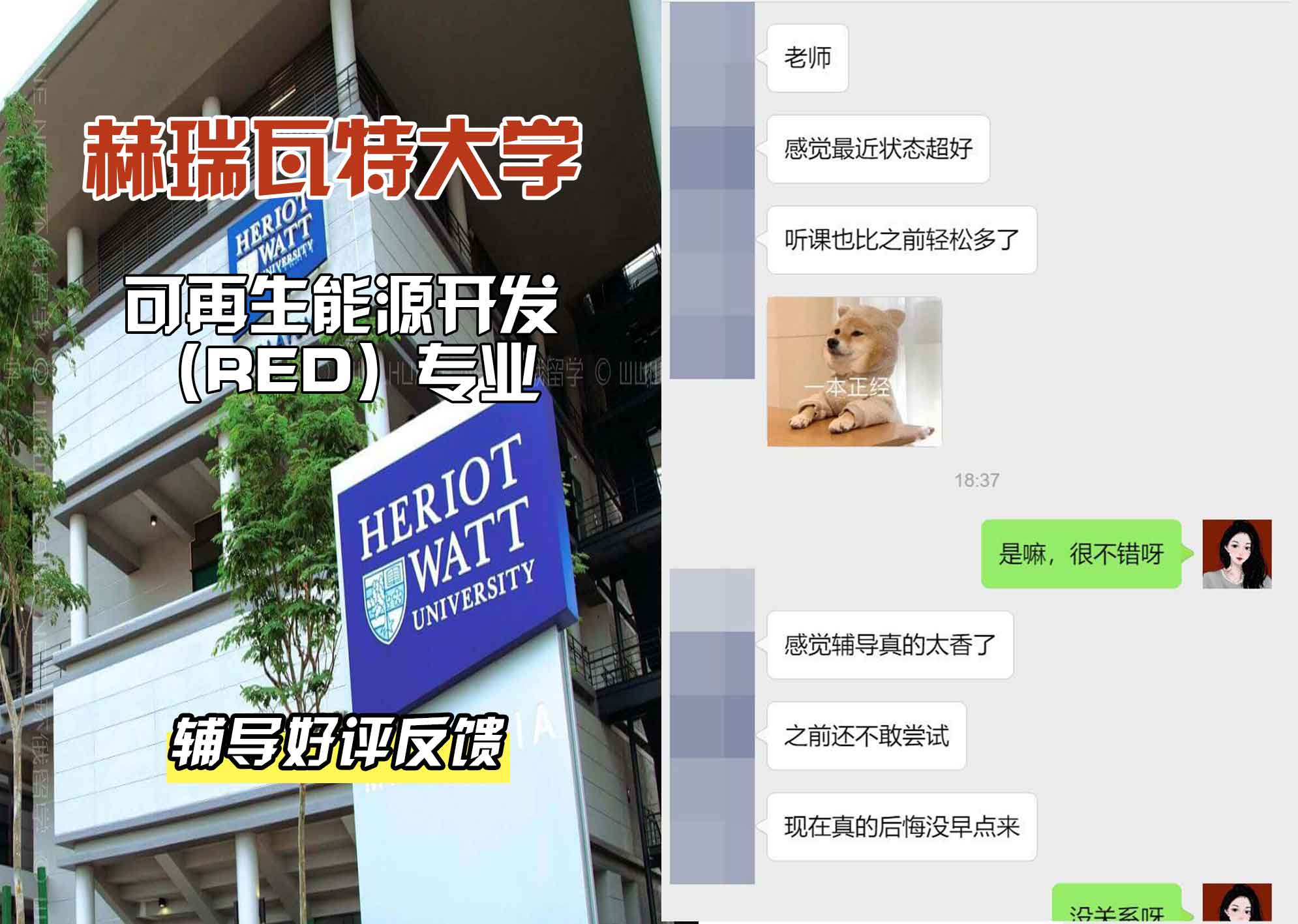 赫瑞瓦特大学赫瓦可再生能源开发（RED）辅导好评反馈