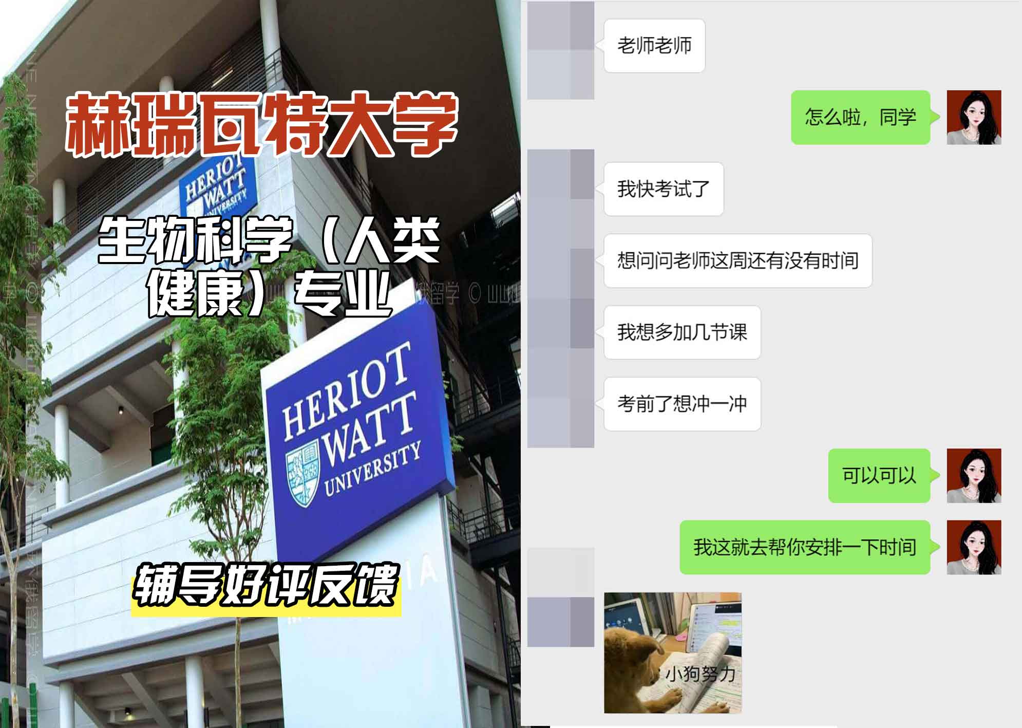 赫瑞瓦特大学赫瓦生物科学（人类健康）辅导好评反馈