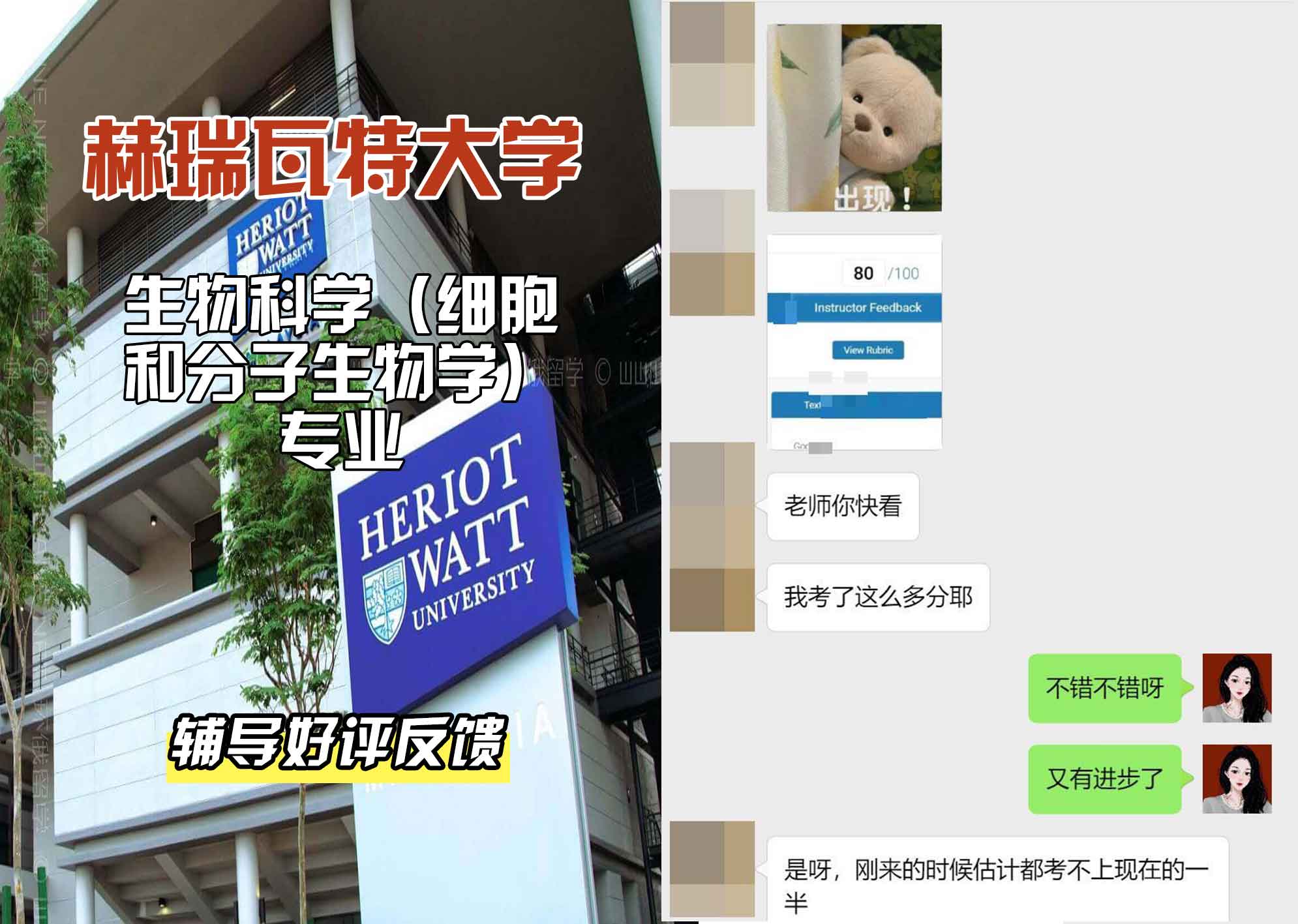 赫瑞瓦特大学赫瓦生物科学（细胞和分子生物学）辅导好评反馈