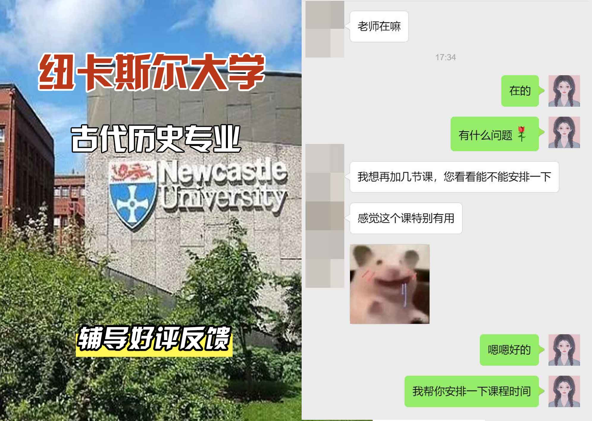 纽卡斯尔大学纽大古代历史辅导好评反馈