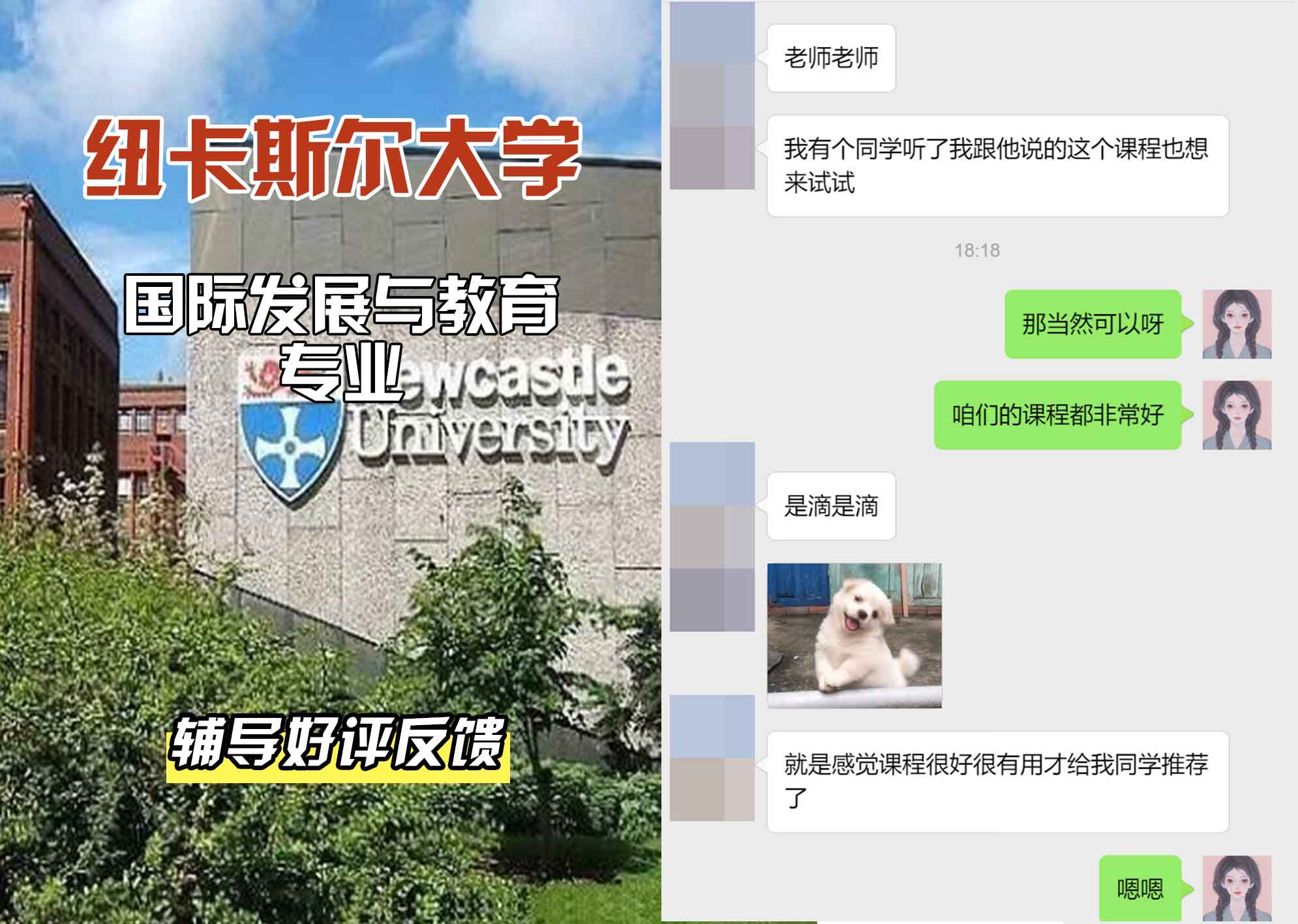 纽卡斯尔大学纽大国际发展与教育辅导好评反馈