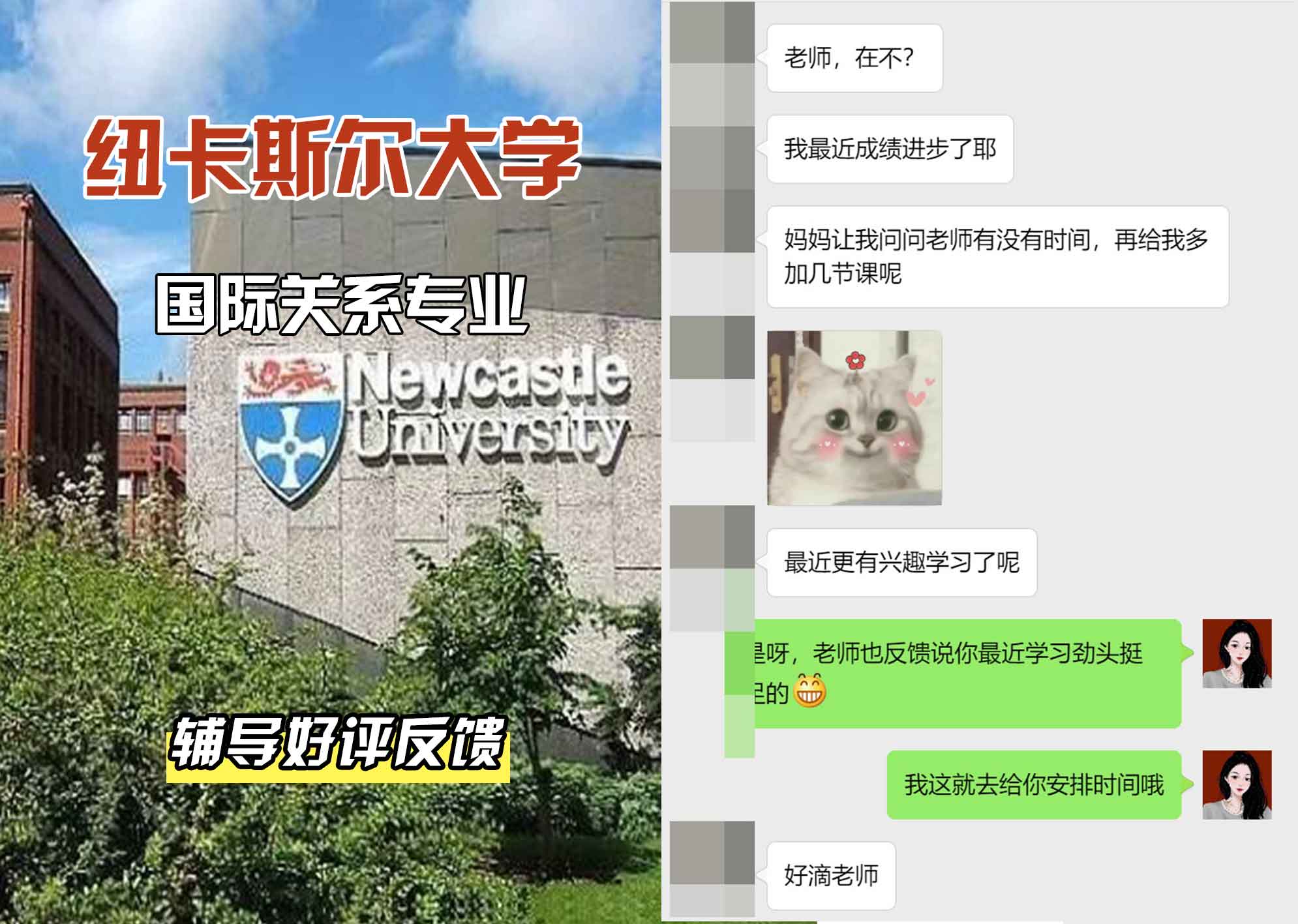 纽卡斯尔大学纽大国际关系辅导好评反馈