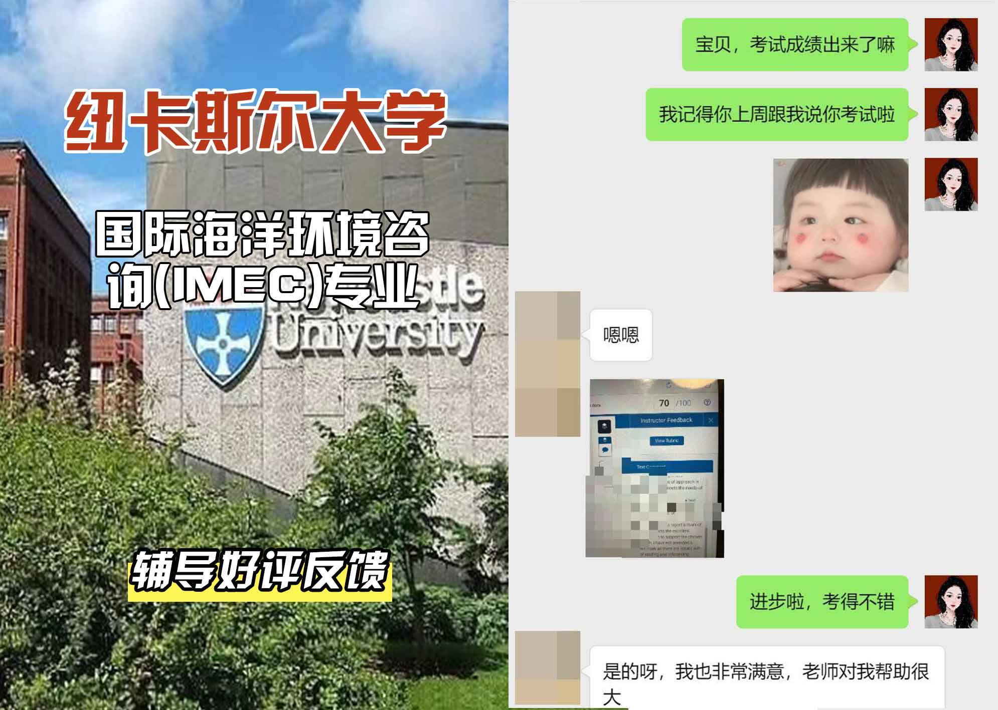 纽卡斯尔大学纽大国际海洋环境咨询 (IMEC)辅导好评反馈