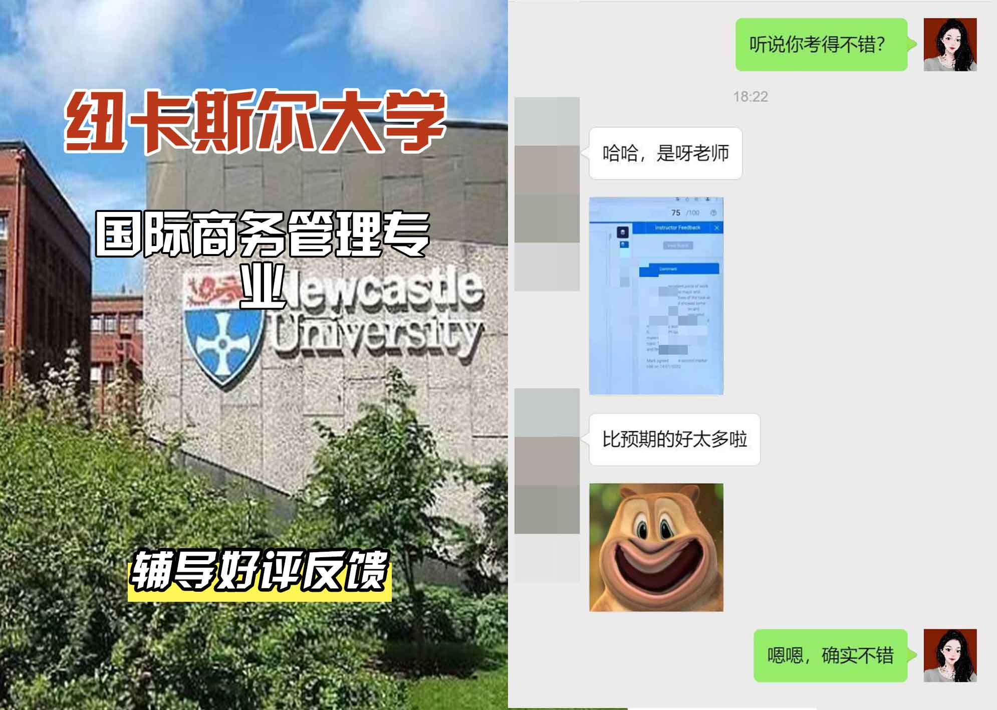 纽卡斯尔大学纽大国际商务管理辅导好评反馈