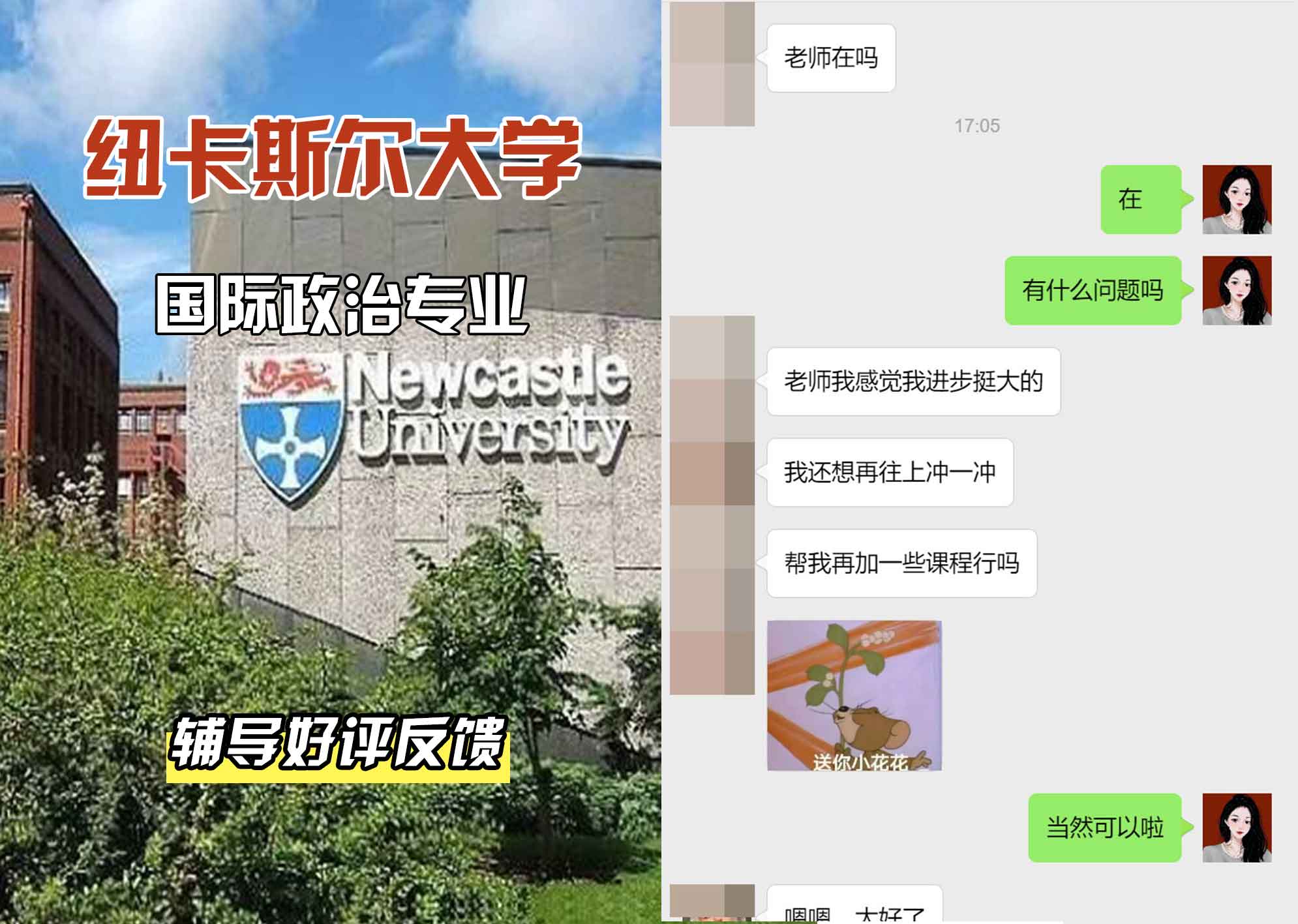 纽卡斯尔大学纽大国际政治辅导好评反馈