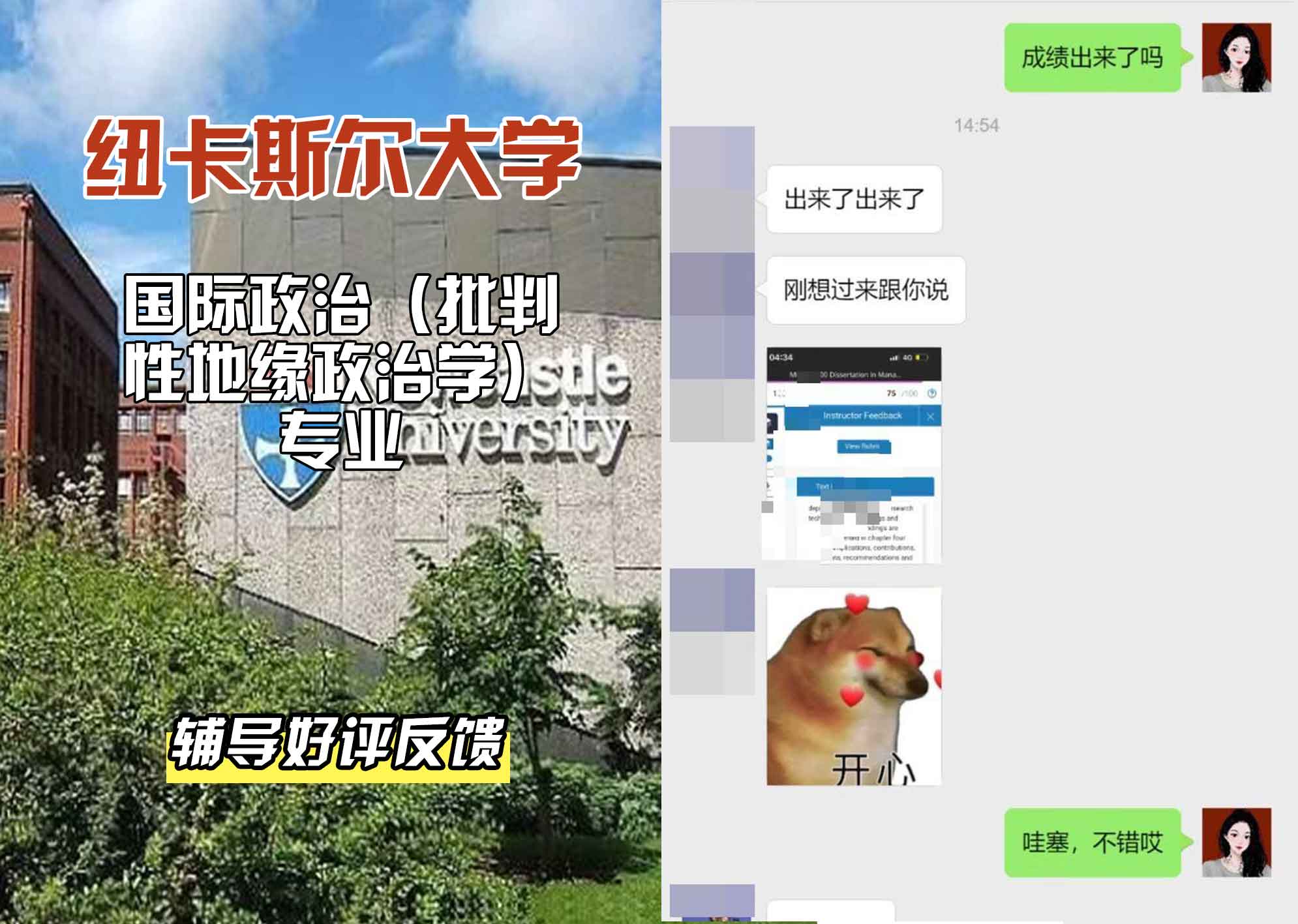 纽卡斯尔大学纽大国际政治（批判性地缘政治学）辅导好评反馈