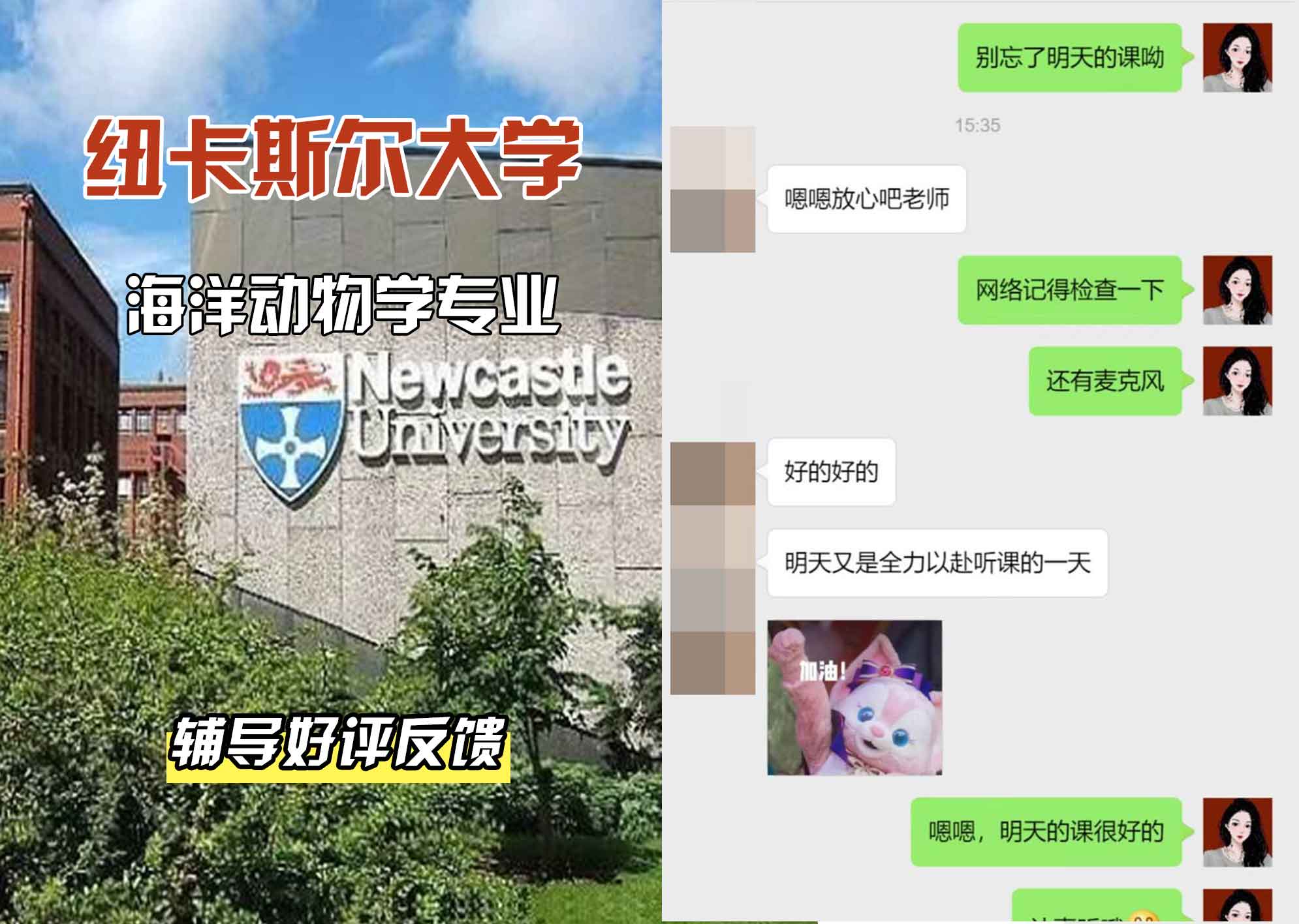 纽卡斯尔大学纽大海洋动物学辅导好评反馈