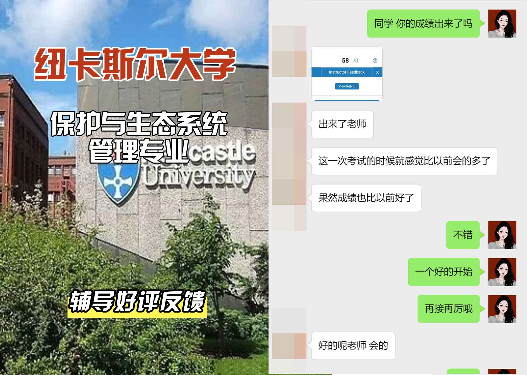 纽卡斯尔大学纽大保护与生态系统管理辅导好评反馈