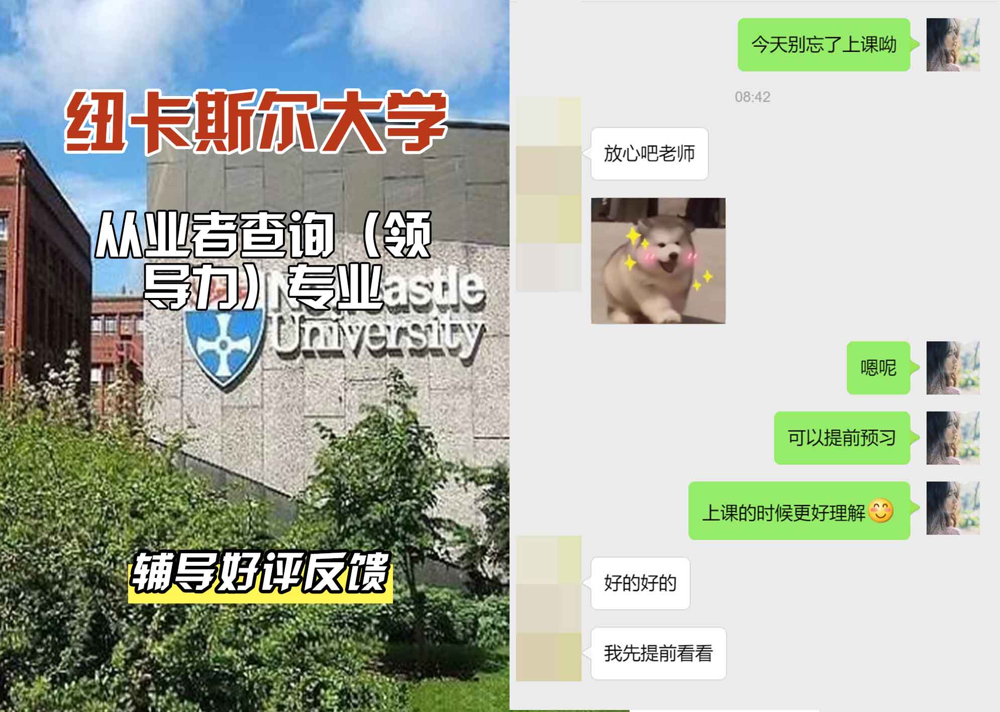 纽卡斯尔大学纽大从业者查询（领导力）辅导好评反馈