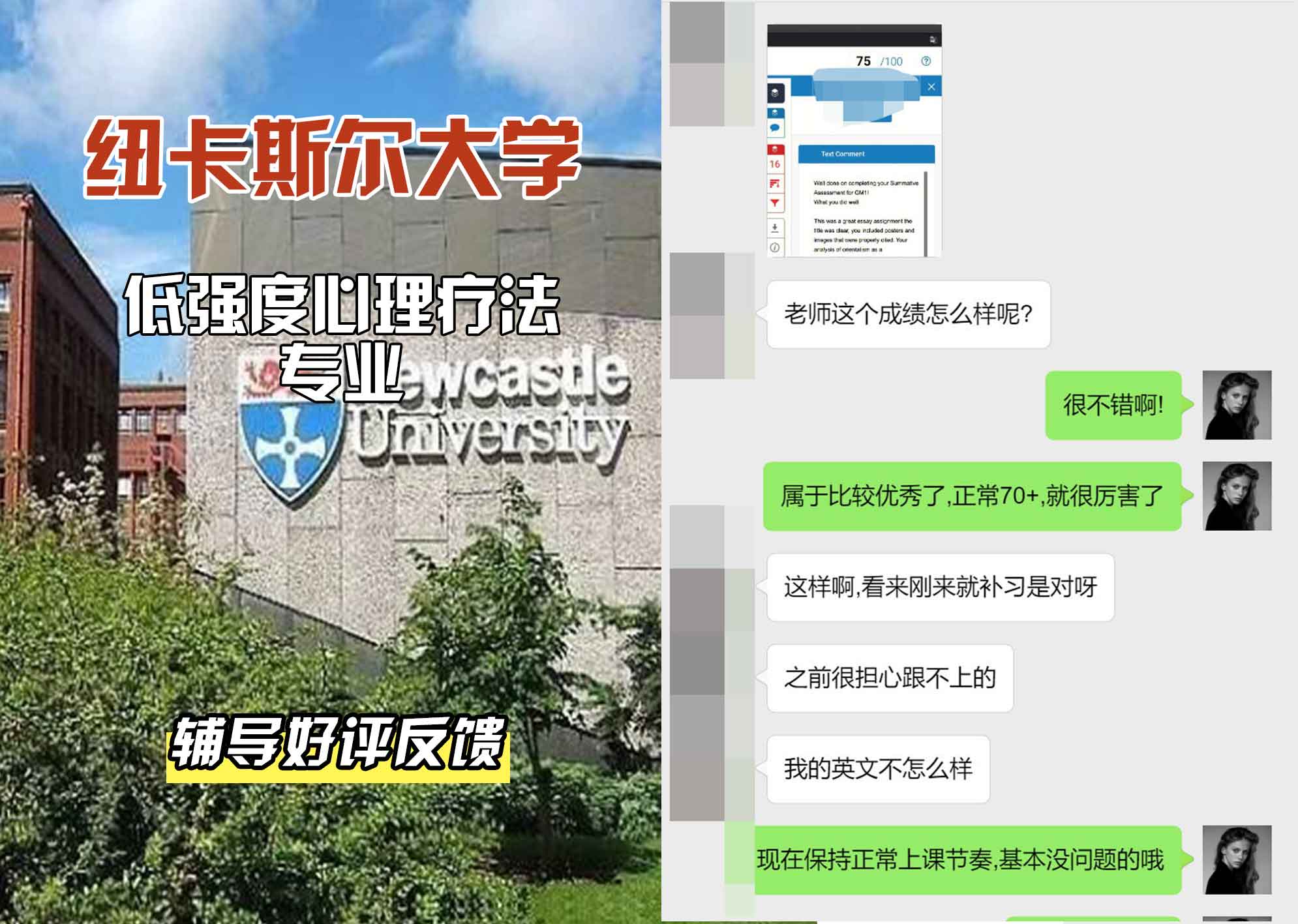 纽卡斯尔大学纽大低强度心理疗法辅导好评反馈