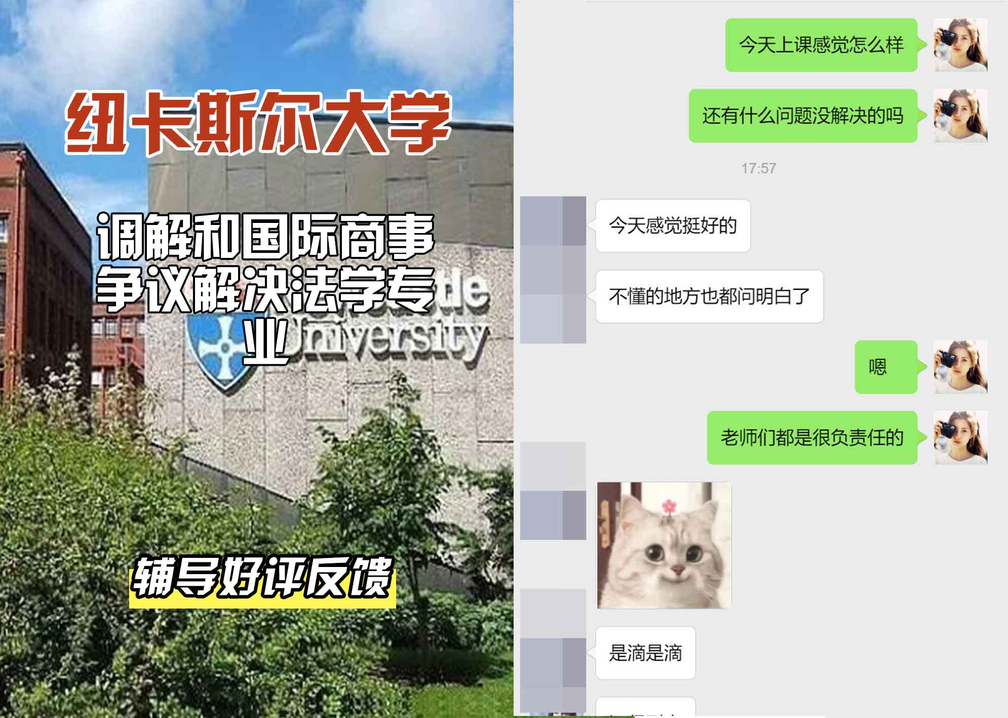 纽卡斯尔大学纽大调解和国际商事争议解决法学辅导好评反馈