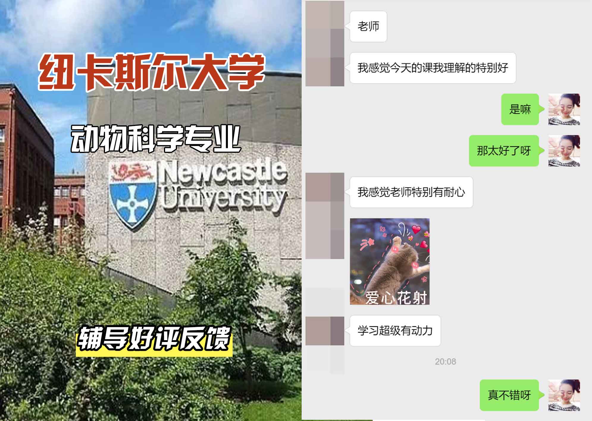 纽卡斯尔大学纽大动物科学辅导好评反馈