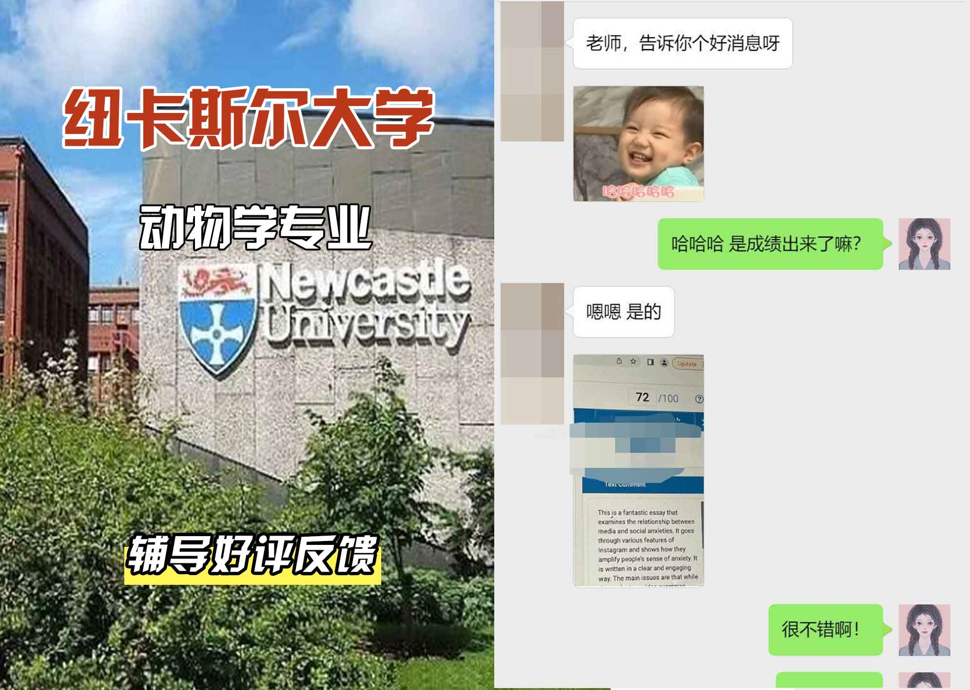 纽卡斯尔大学纽大动物学辅导好评反馈